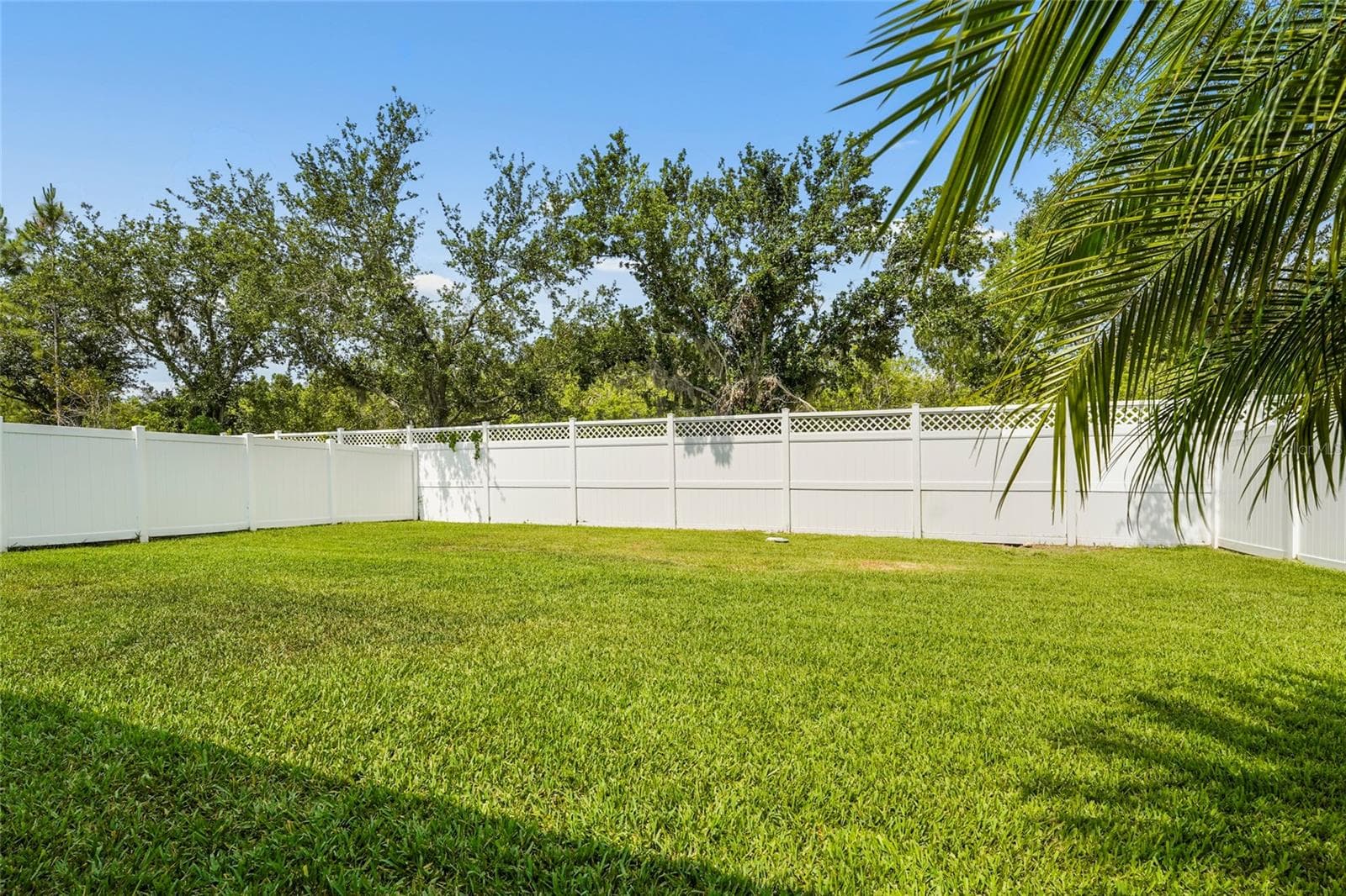 Fully Fenced Backyard - 2745 62ND AVE E, ELLENTON
