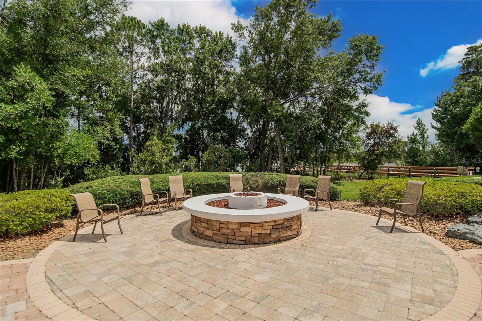 Fire Pit - 21040 GREEN WING CT, LAND O LAKES