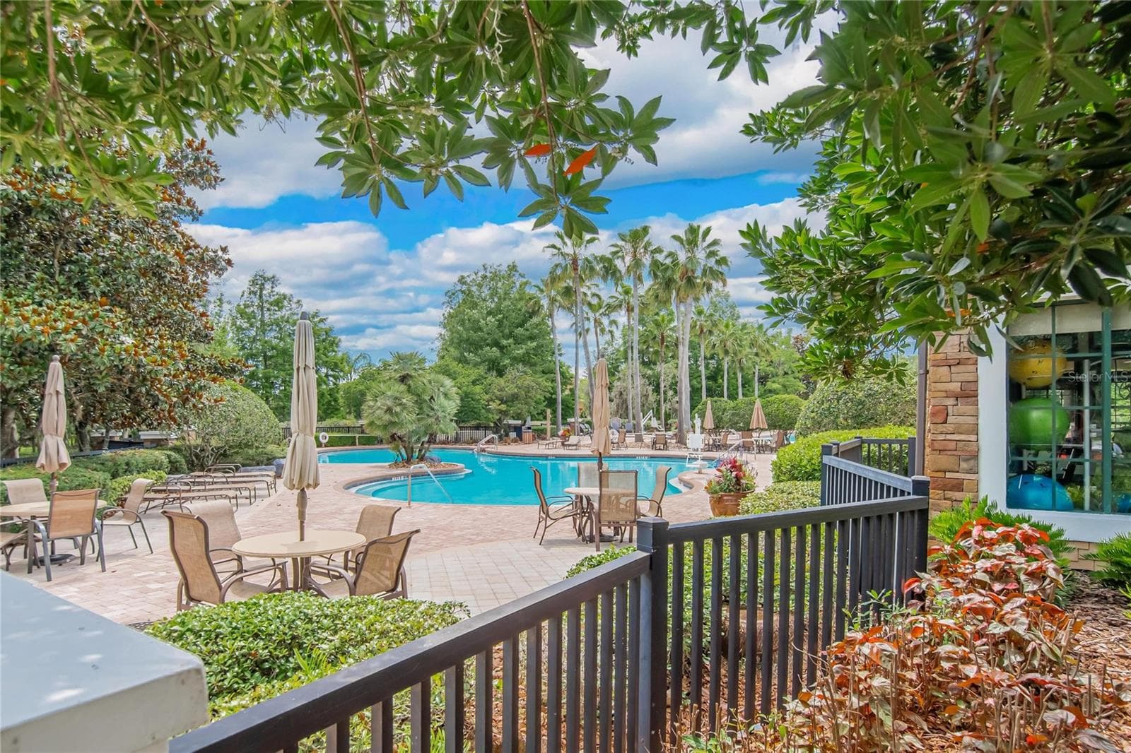 Next to the beautiful pool is the really nice gym - 21040 GREEN WING CT, LAND O LAKES