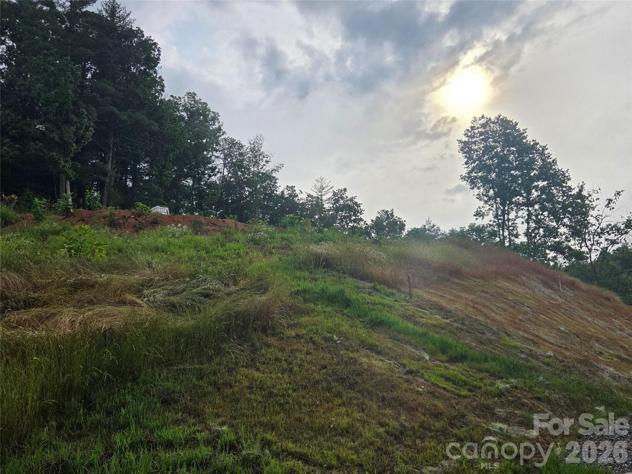Lot at Mars Hill, photo 3 of 5