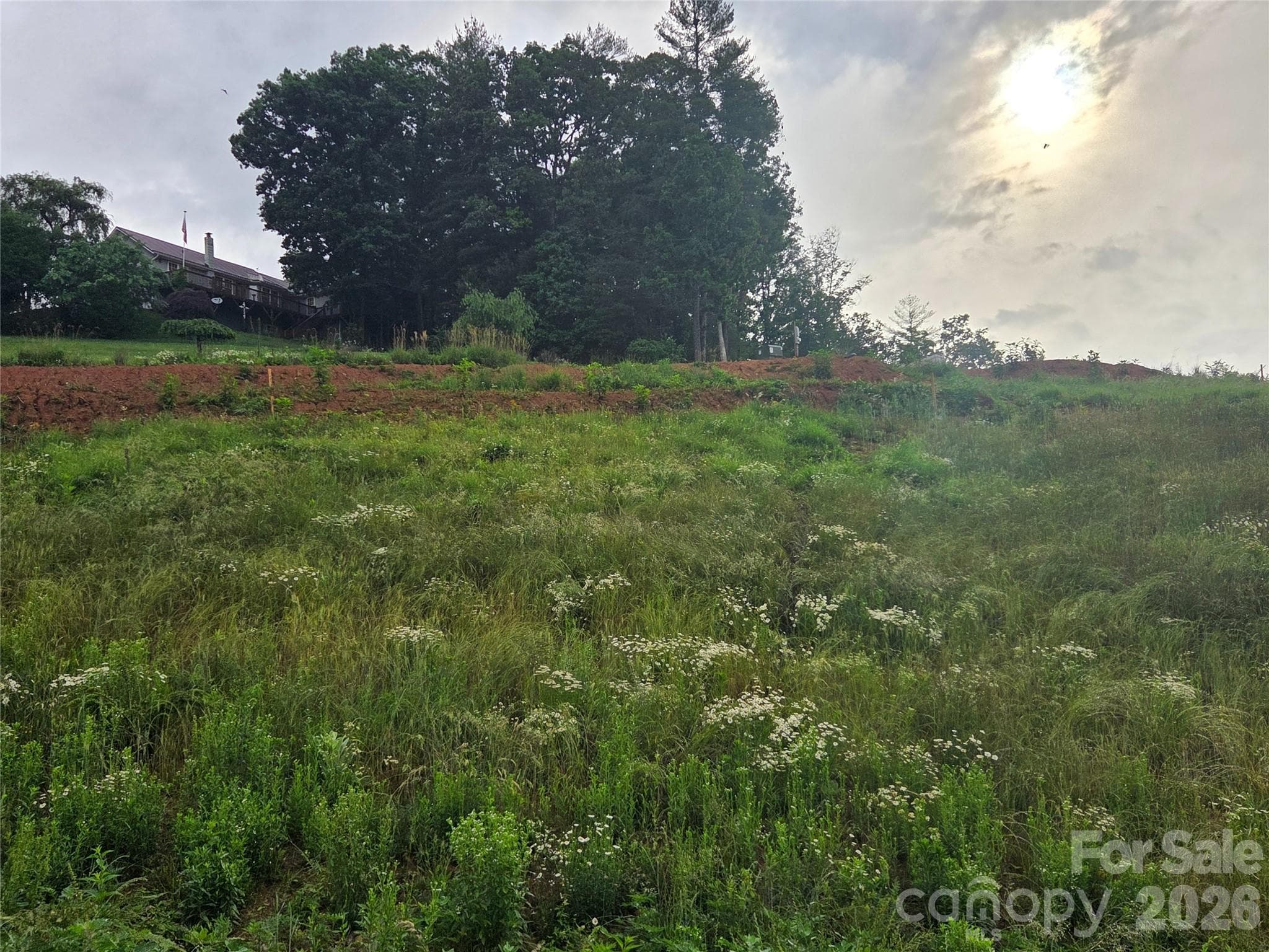 Lot at Mars Hill, photo 4 of 5