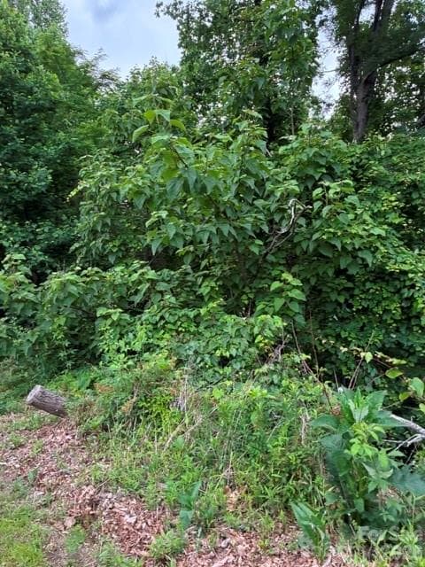 Lot at 97 DEVIN RIDGE Lane, Union Mills, photo 2 of 3