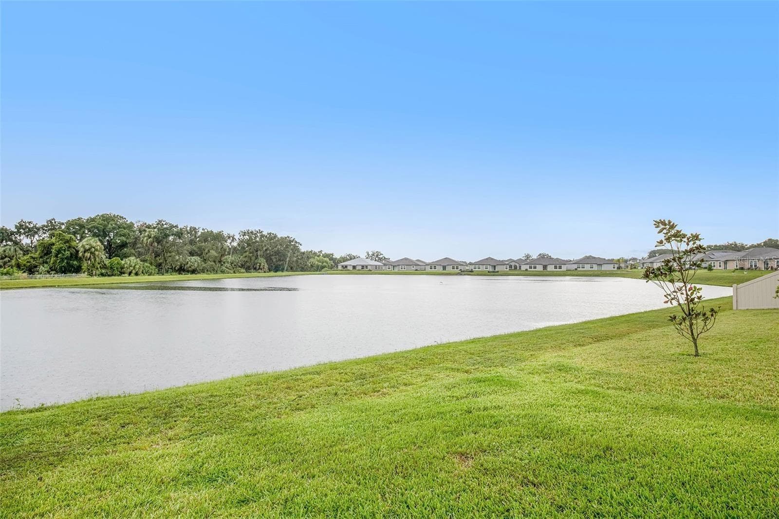 Single Family Residence at 10829 CRUSHED GRAPE DR, RIVERVIEW, photo 21 of 27
