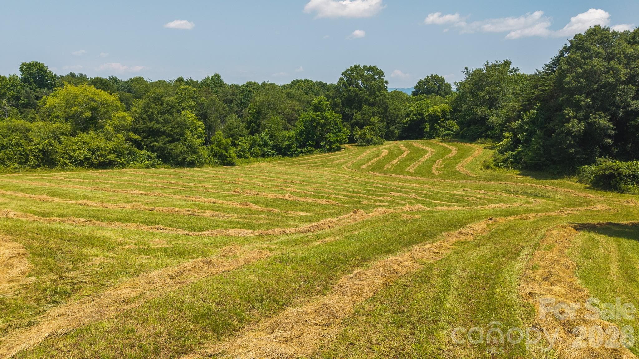 Single Family Residence at Taylorsville, photo 12 of 34