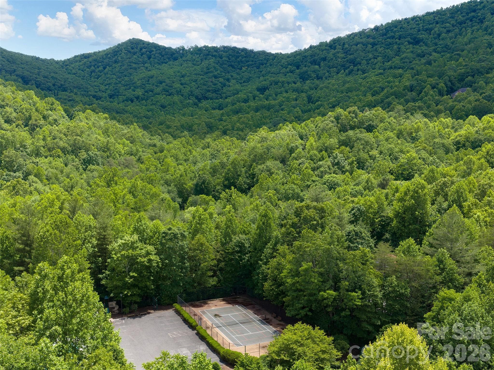 Aerial view of sports courts & parking area - 48 Smokemont Drive, Arden