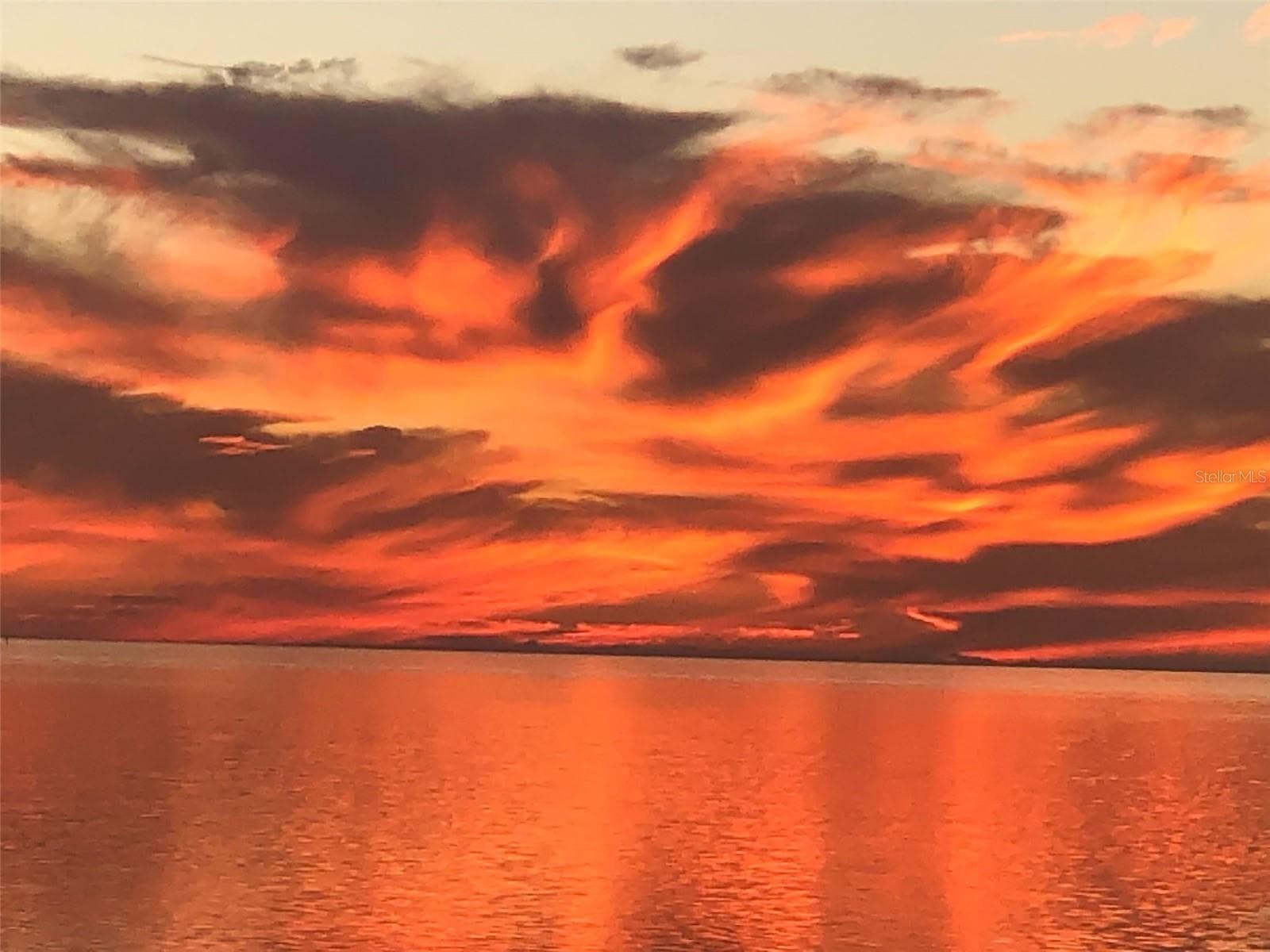 Say no more - 1620 SEA BREEZE DR, TARPON SPRINGS