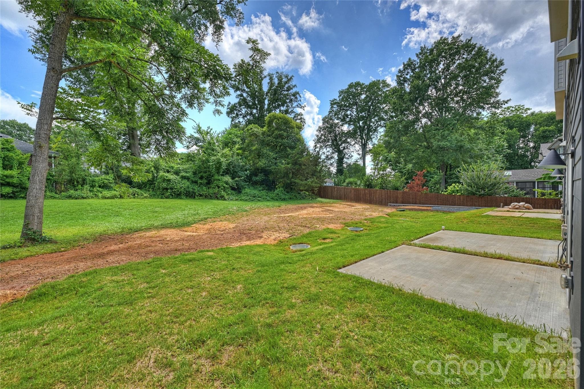 Great backyard - 209 Coxe Avenue, Charlotte