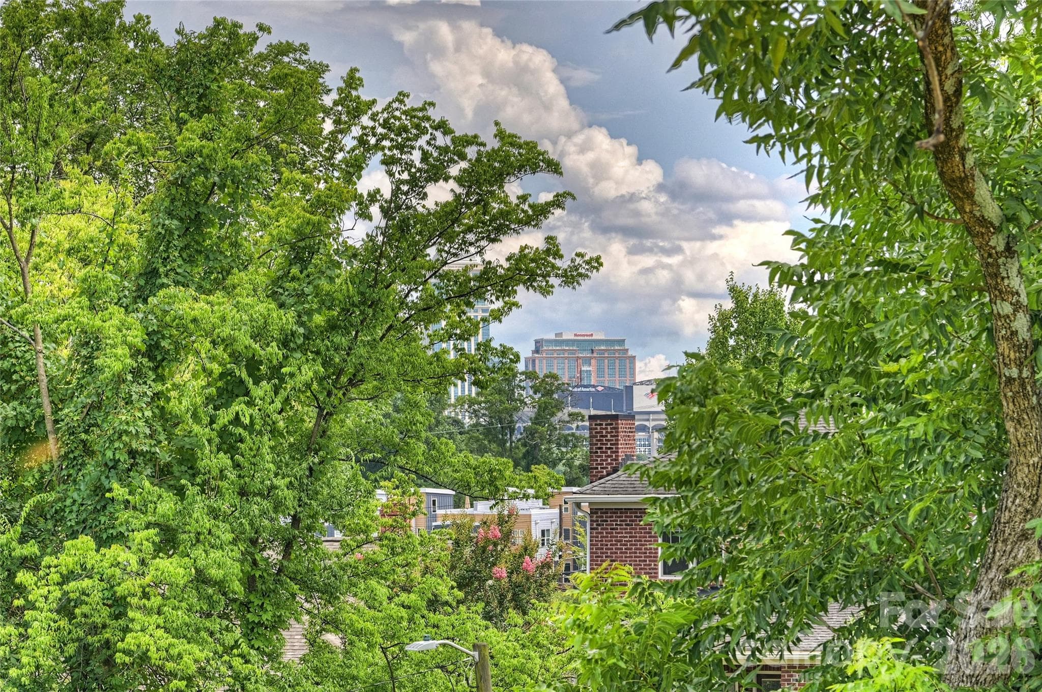 Roof top terrace - 209 Coxe Avenue, Charlotte