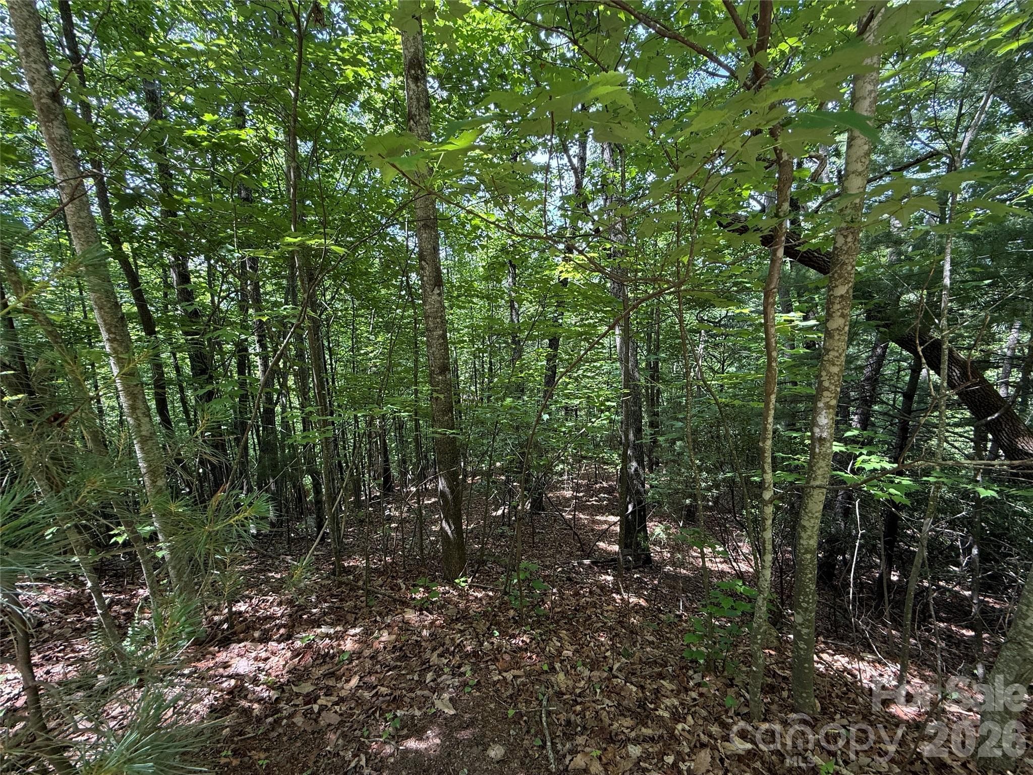 Lot at TBD Warren Way, Purlear, photo 2 of 34