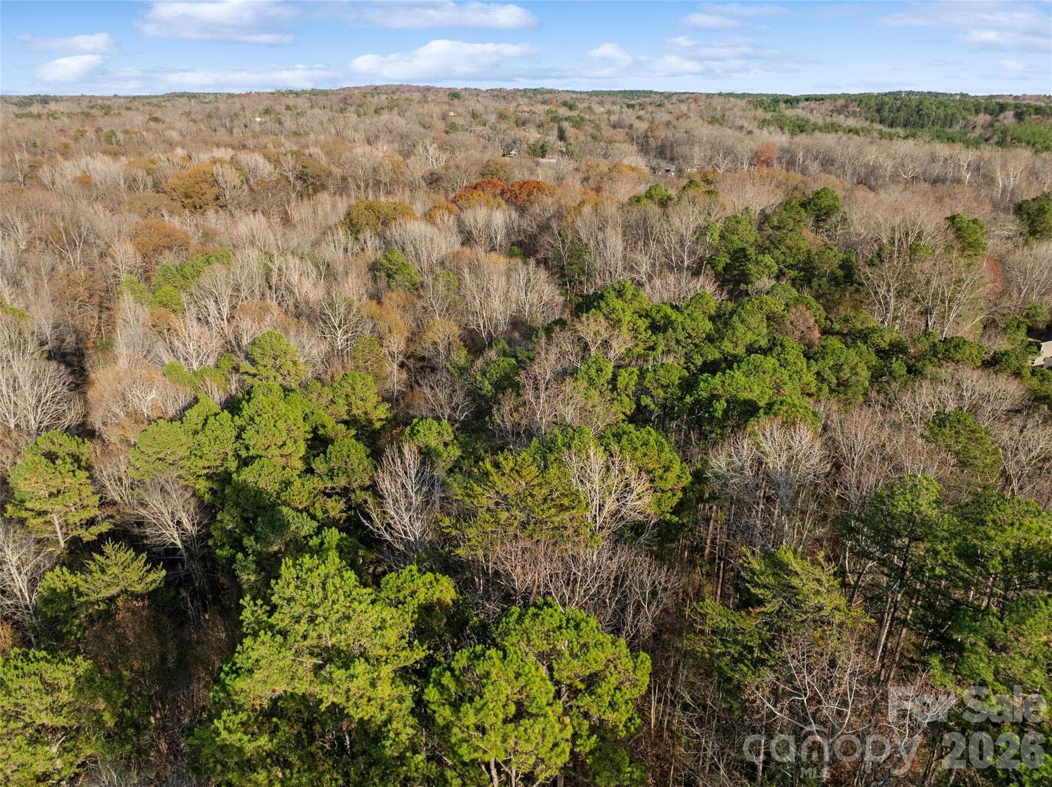 Acreage at 0000 Sandy Ford Road, Mount Holly, photo 9 of 12