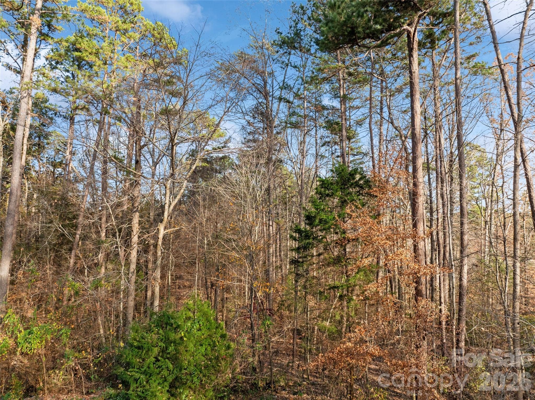 Acreage at 0000 Sandy Ford Road, Mount Holly, photo 10 of 12