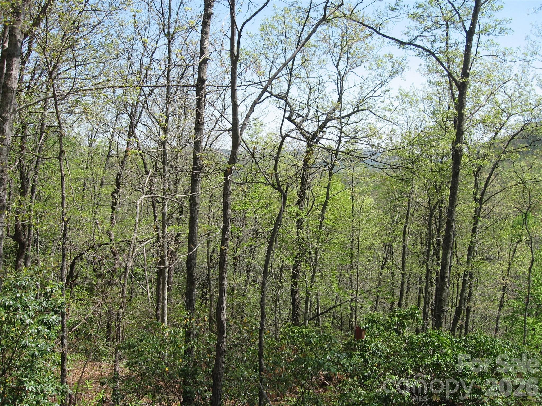 313 Line Runner Ridge Road