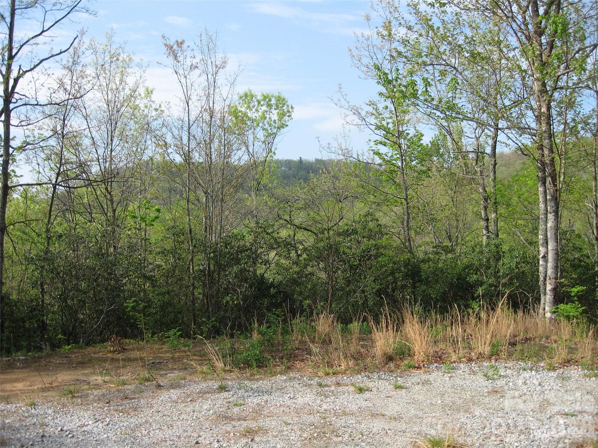 Acreage at 313 Line Runner Ridge Road, Rosman, photo 4 of 36