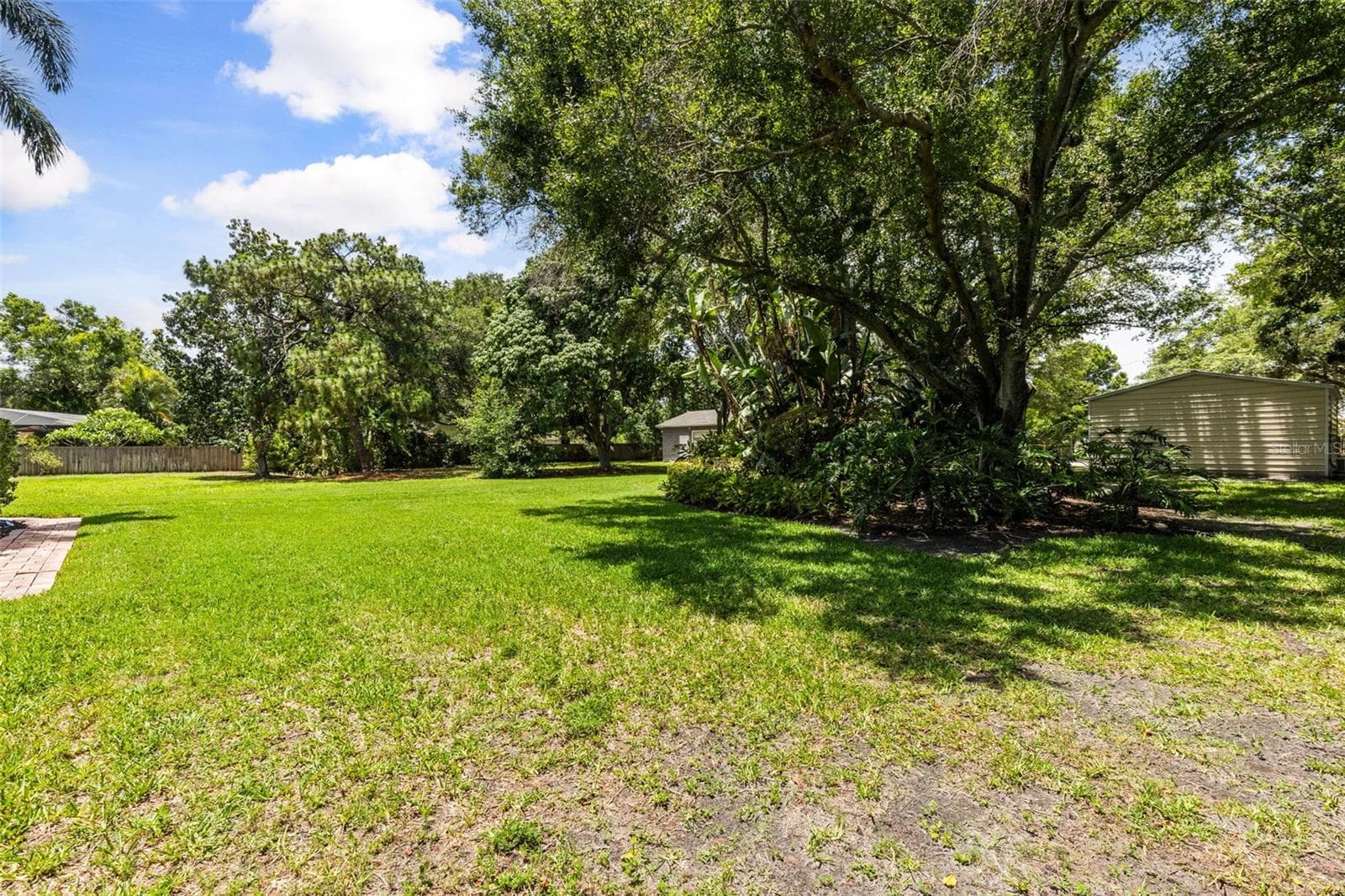 Backyard - 1944 LEVINE LN, CLEARWATER