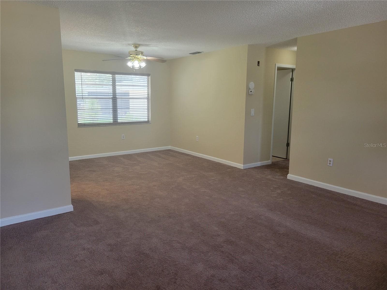New Carpet - 9022 LINGROVE RD, WEEKI WACHEE