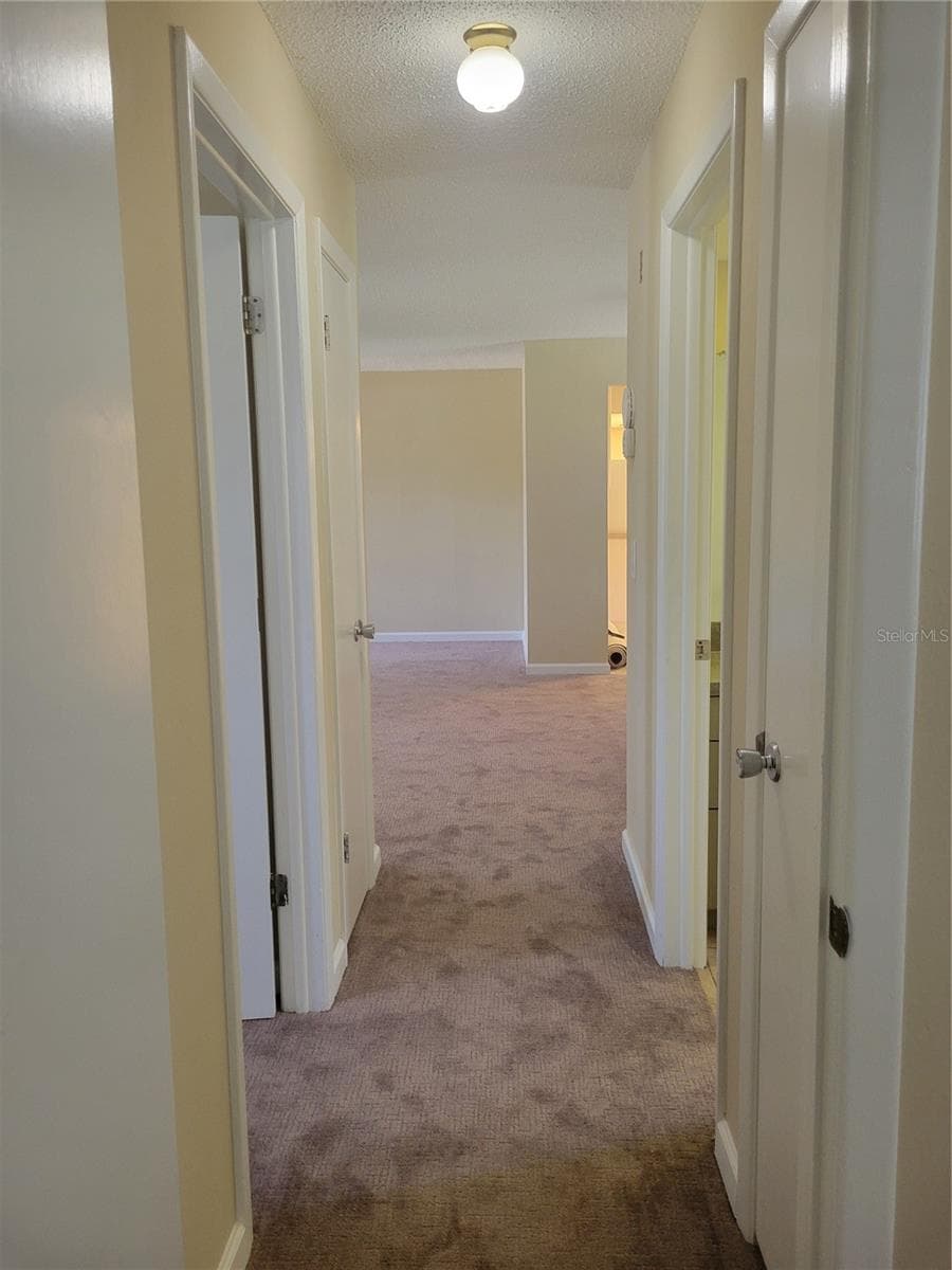 Hall back to Living Room area - 9022 LINGROVE RD, WEEKI WACHEE