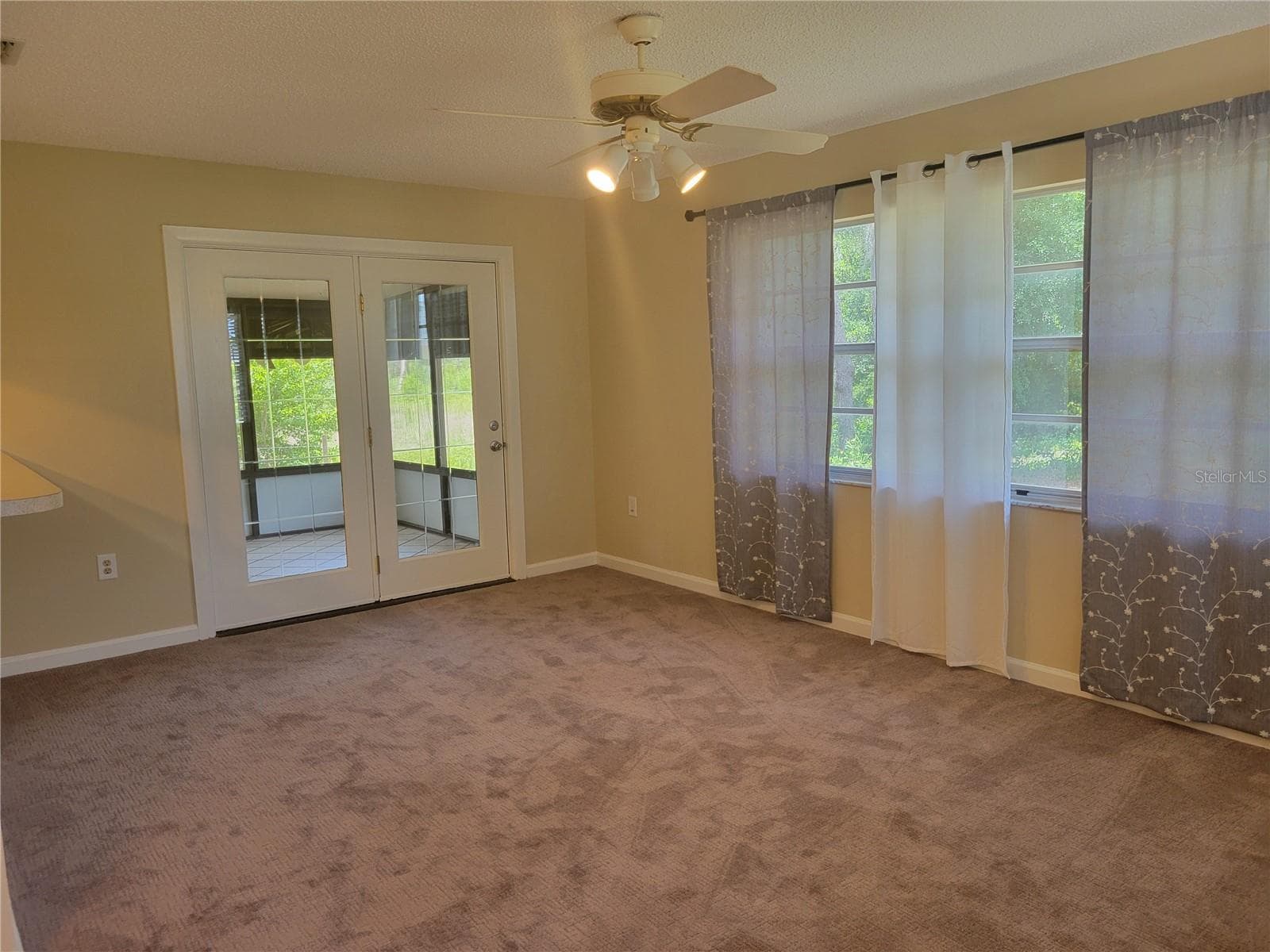 New carpet and fresh paint in FR - 9022 LINGROVE RD, WEEKI WACHEE