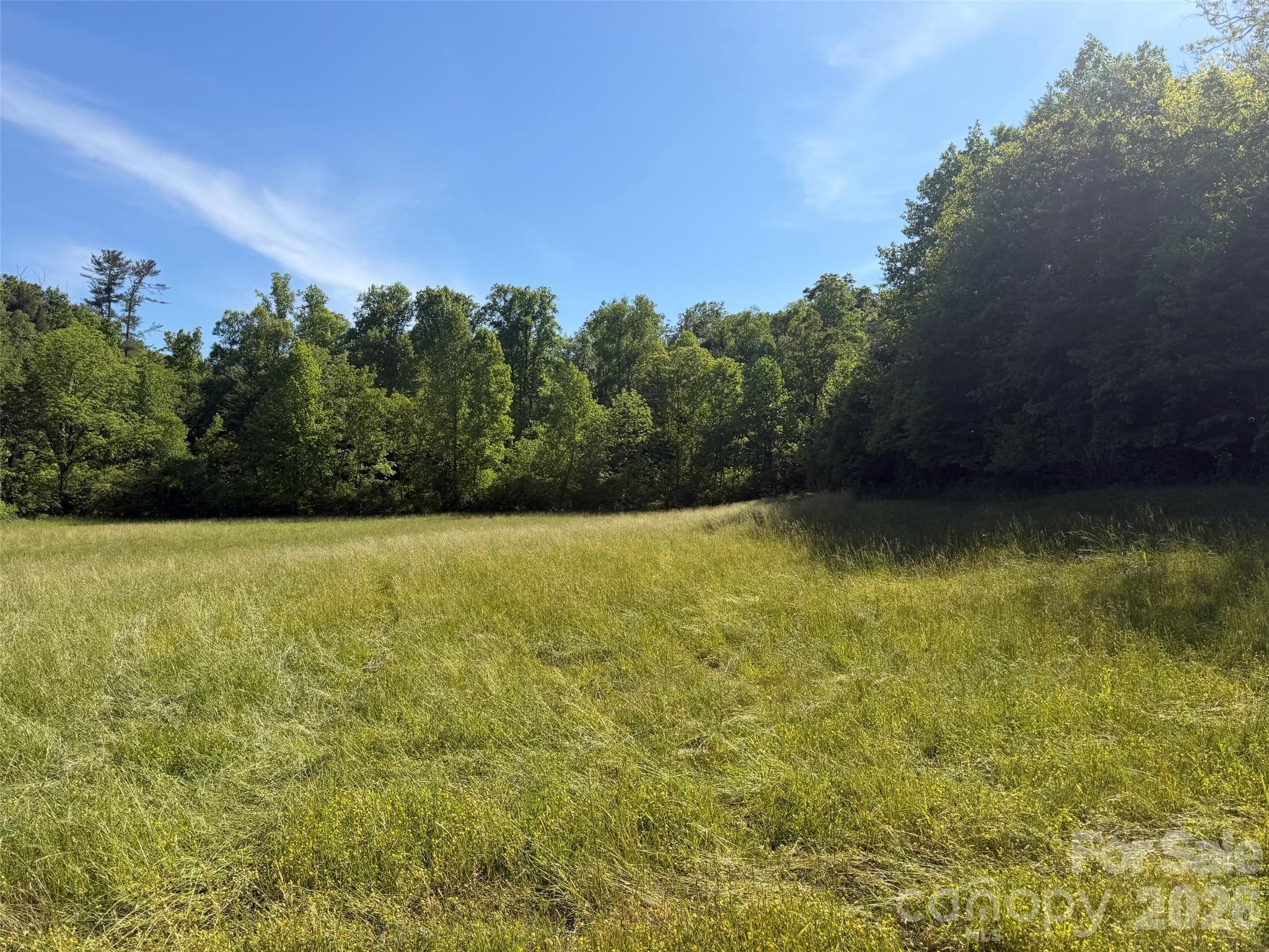 Lot at 3539 Parker Padgett Road, Old Fort, photo 2 of 5
