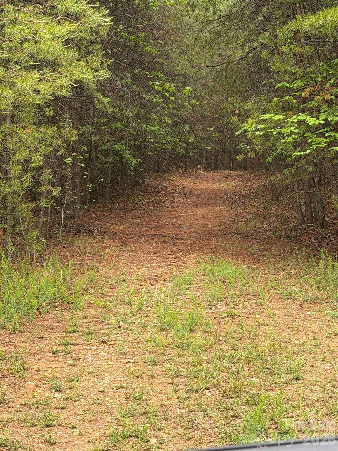 Acreage at Tract 5 Hill Road, Marion, photo 6 of 9