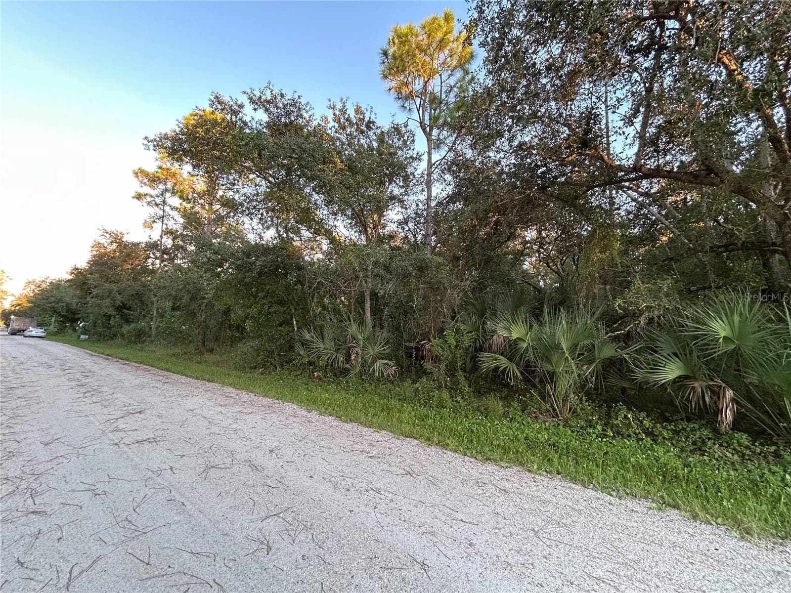 Land at 28153 ALATADENA DR, PUNTA GORDA, photo 6 of 8