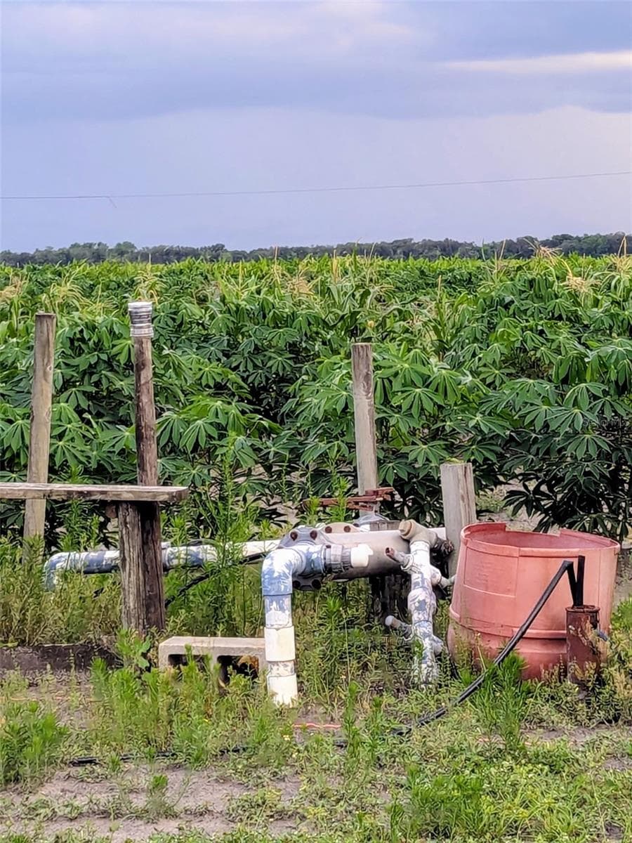 Land at 0 MINERAL BRANCH RD, ZOLFO SPRINGS, photo 9 of 15