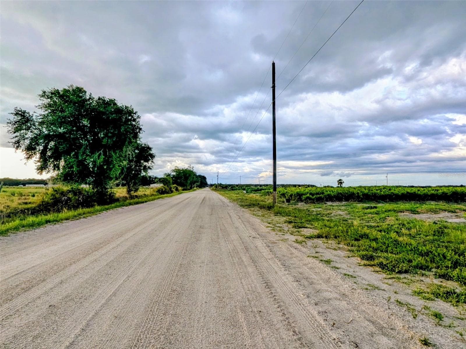 Land at 0 MINERAL BRANCH RD, ZOLFO SPRINGS, photo 13 of 15