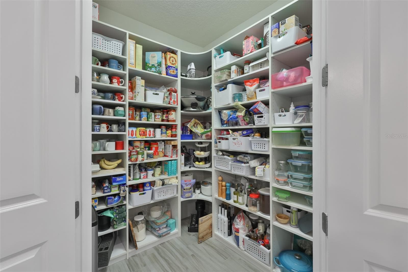 Large Pantry with Custom Shelving - 18824 ALDER GLEN DR, LUTZ