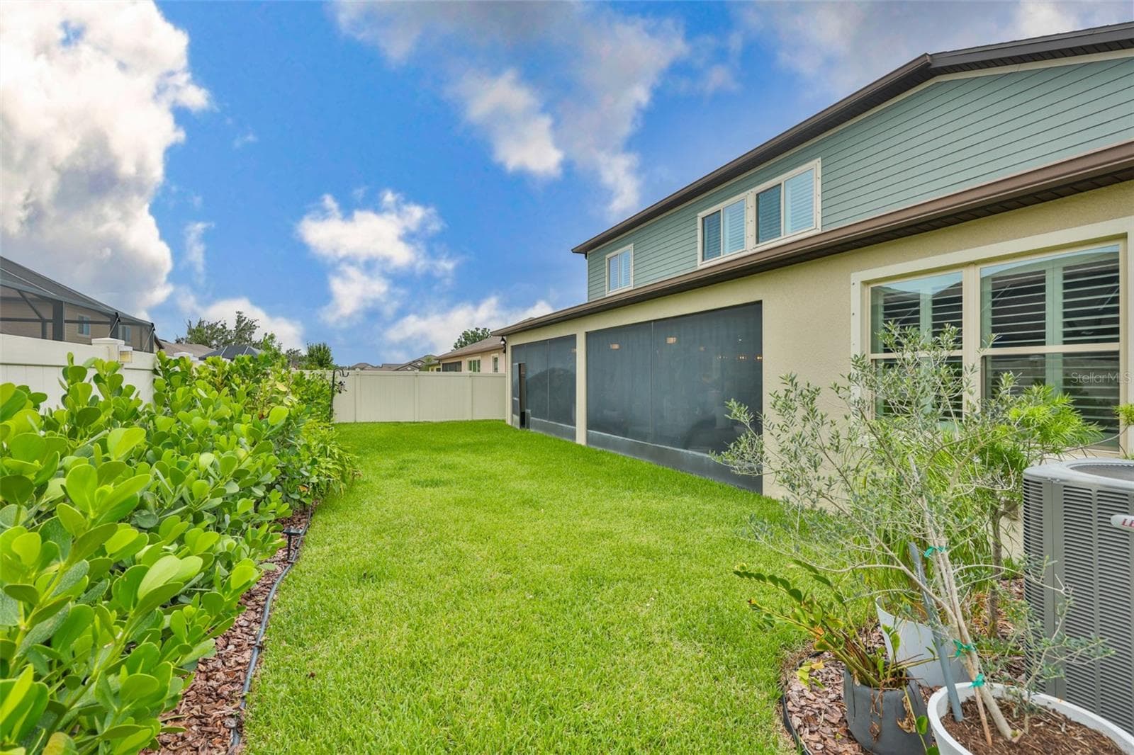 Back Yard - 18824 ALDER GLEN DR, LUTZ