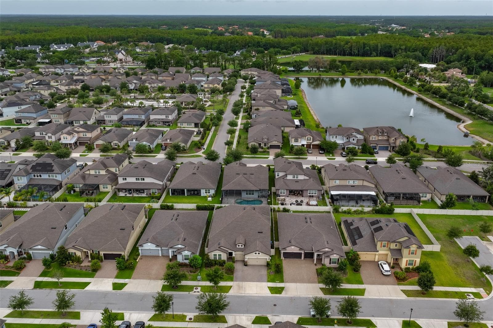 Community Aerial - 18824 ALDER GLEN DR, LUTZ