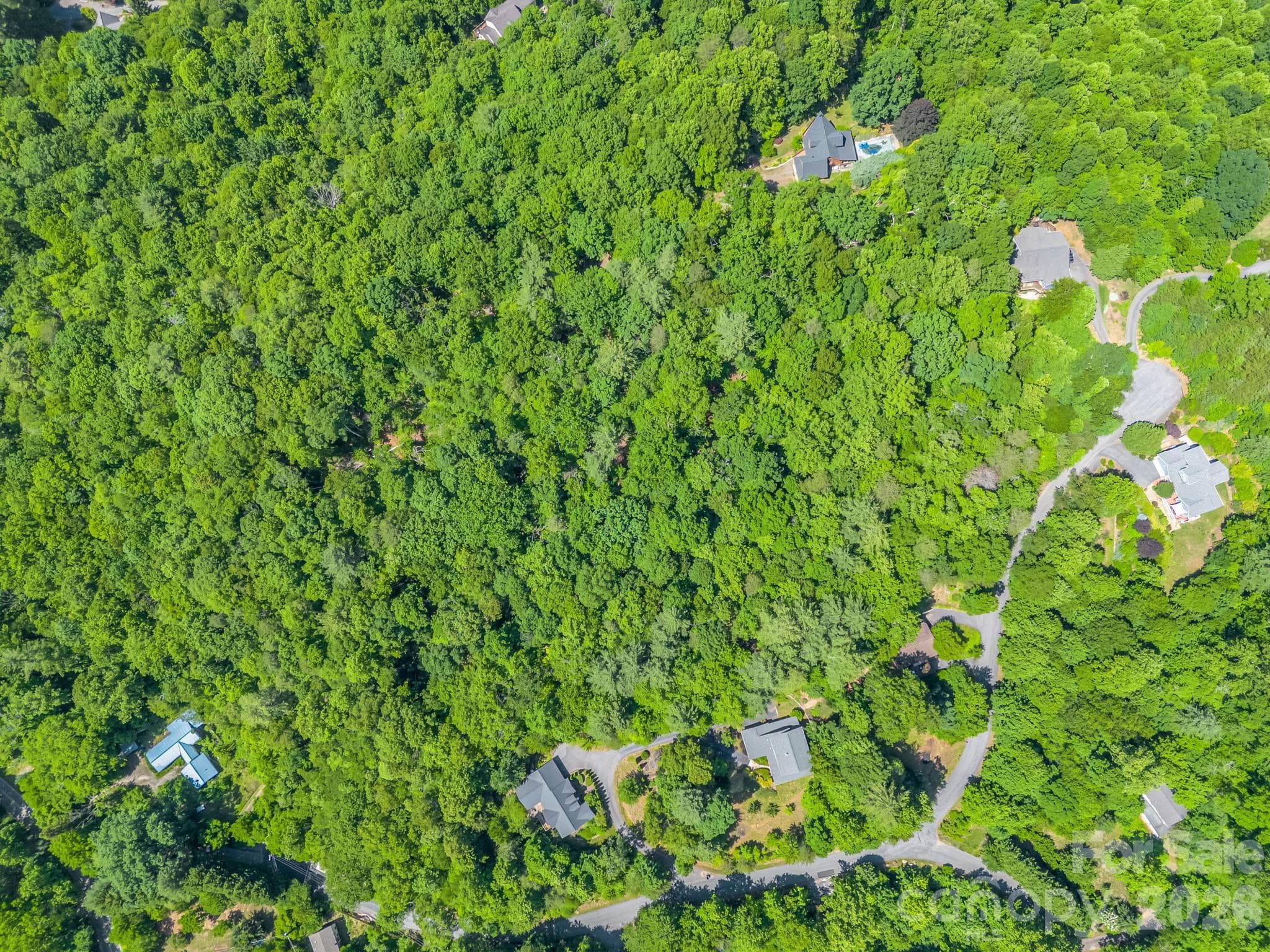 Acreage at 21 Wits End Trail, Swannanoa, photo 14 of 30
