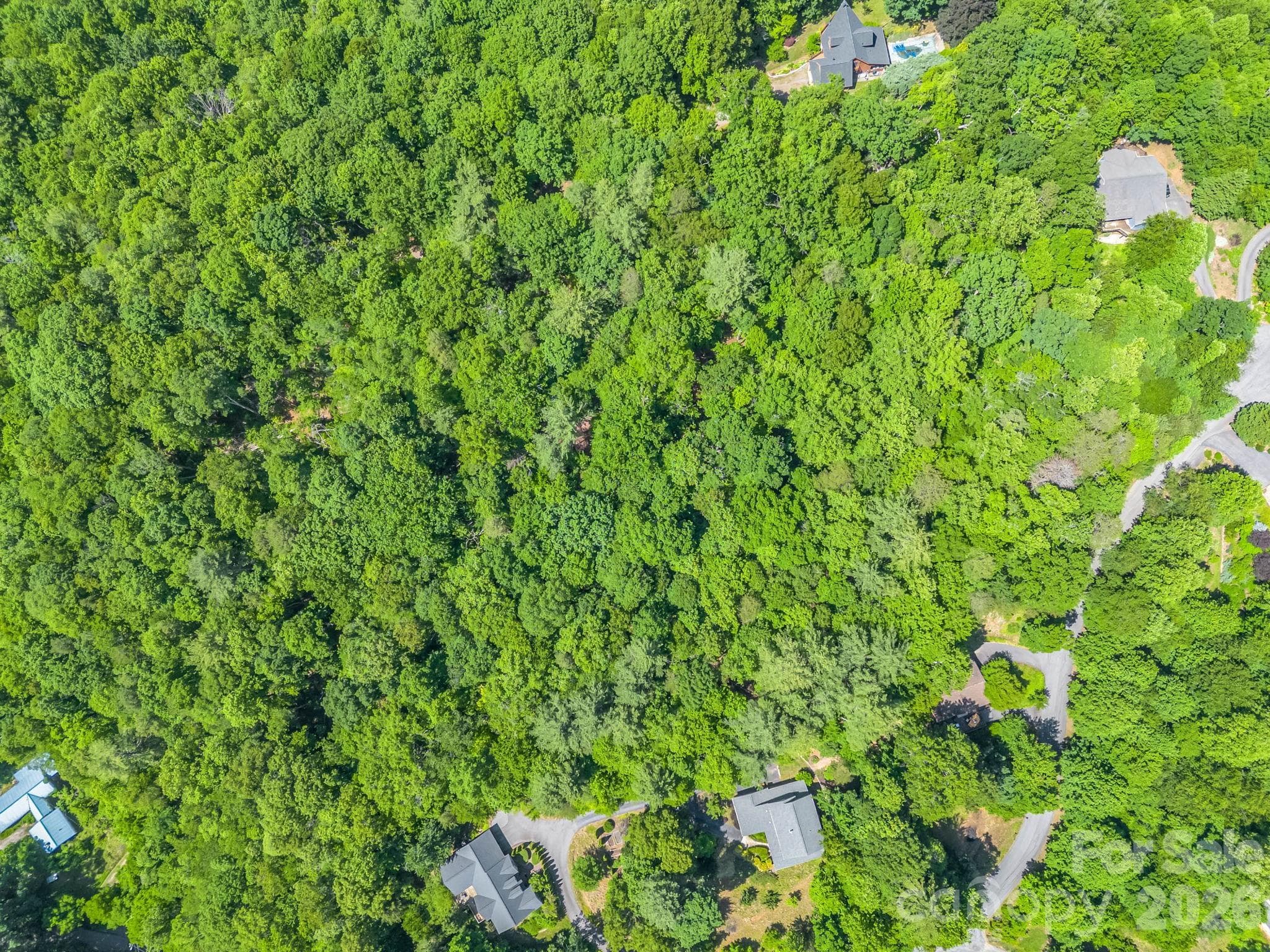 Acreage at 21 Wits End Trail, Swannanoa, photo 15 of 30