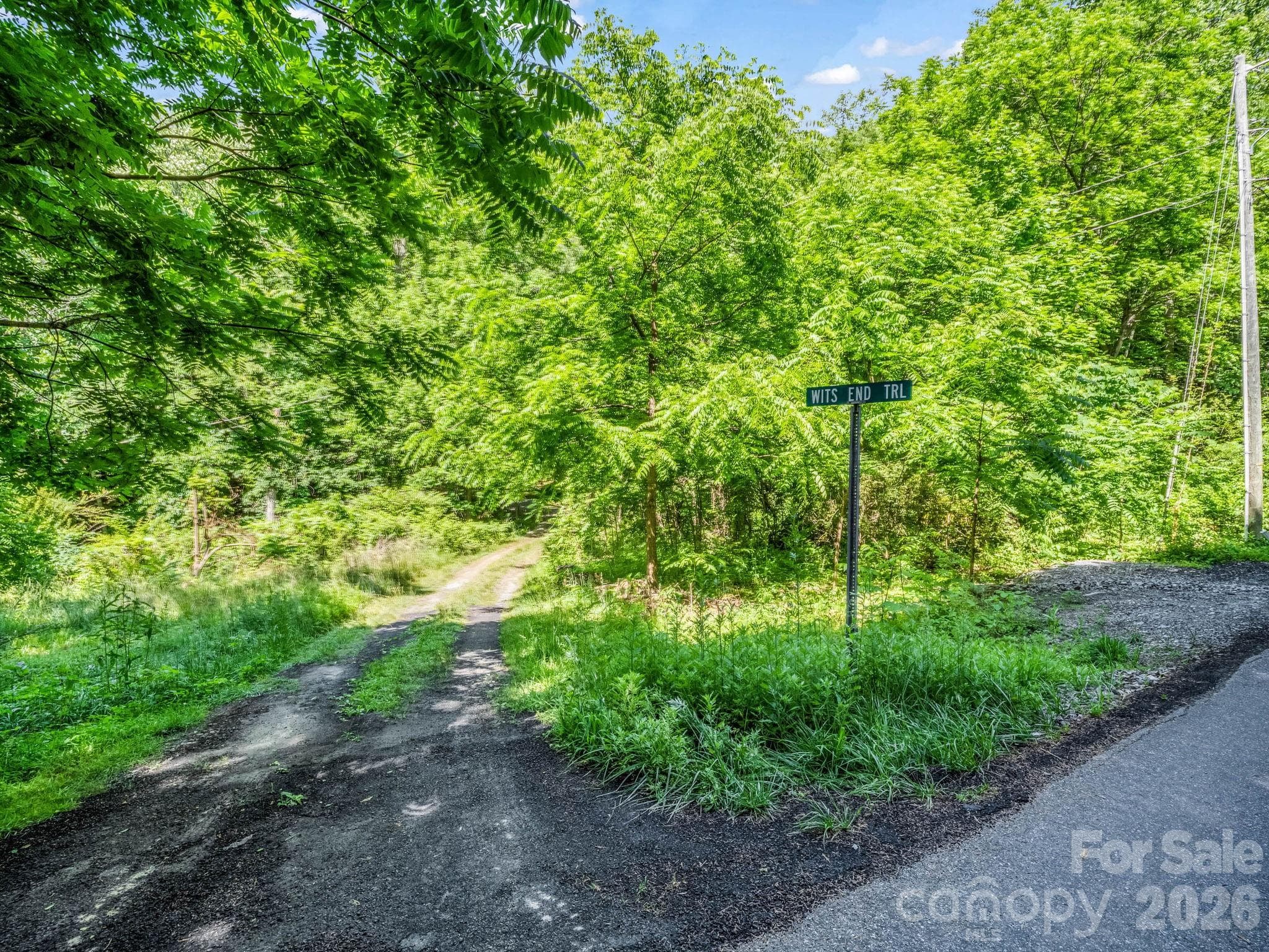 Acreage at 21 Wits End Trail, Swannanoa, photo 30 of 30