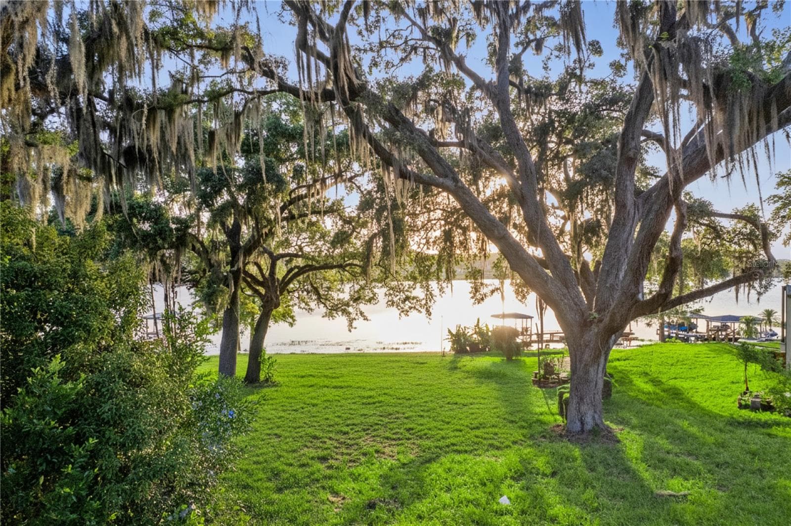 Mature Oak Trees - E CROOKED LAKE DR, EUSTIS