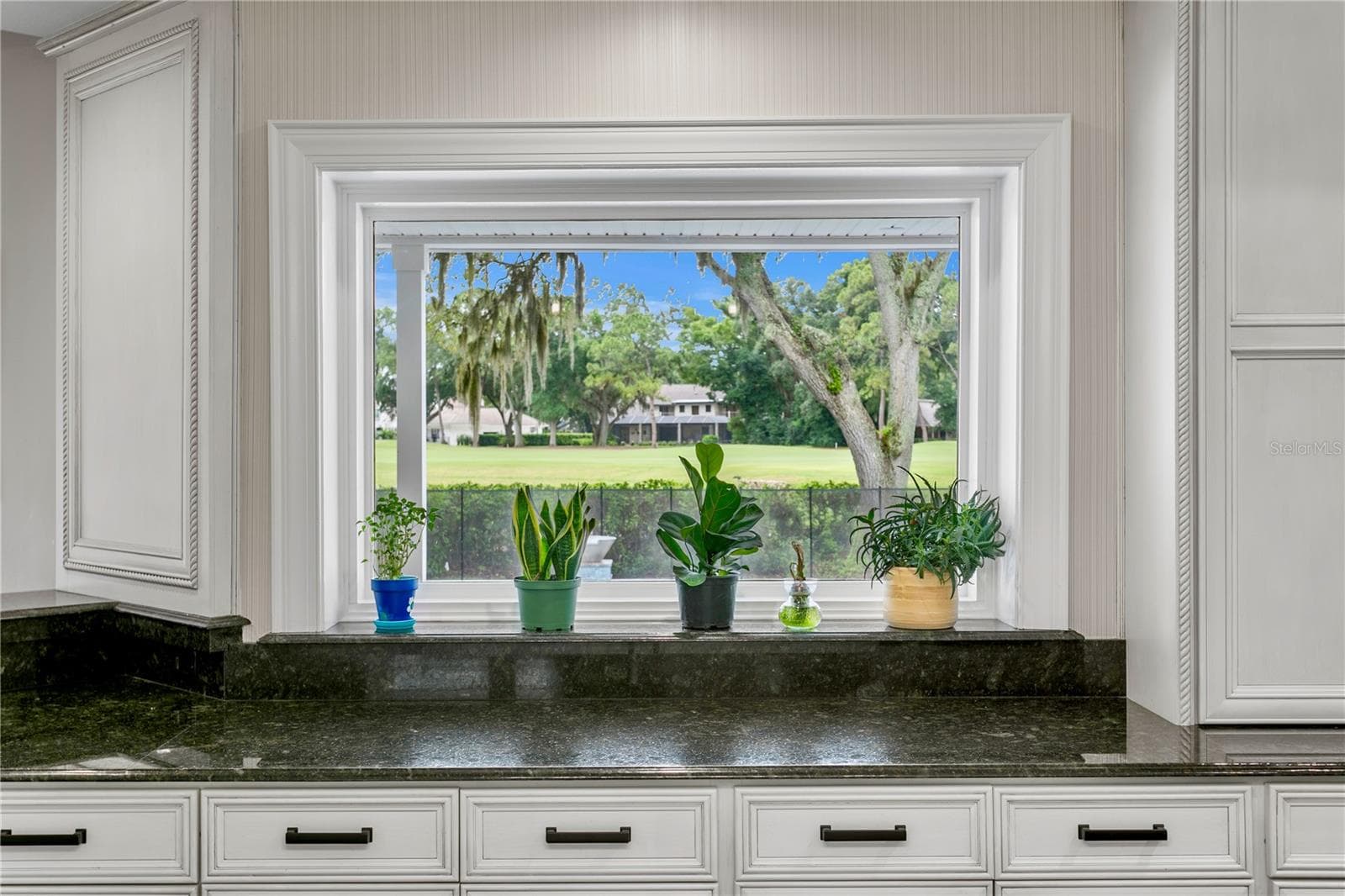 Single Family Residence at 16601 AVILA BLVD, TAMPA, photo 17 of 47