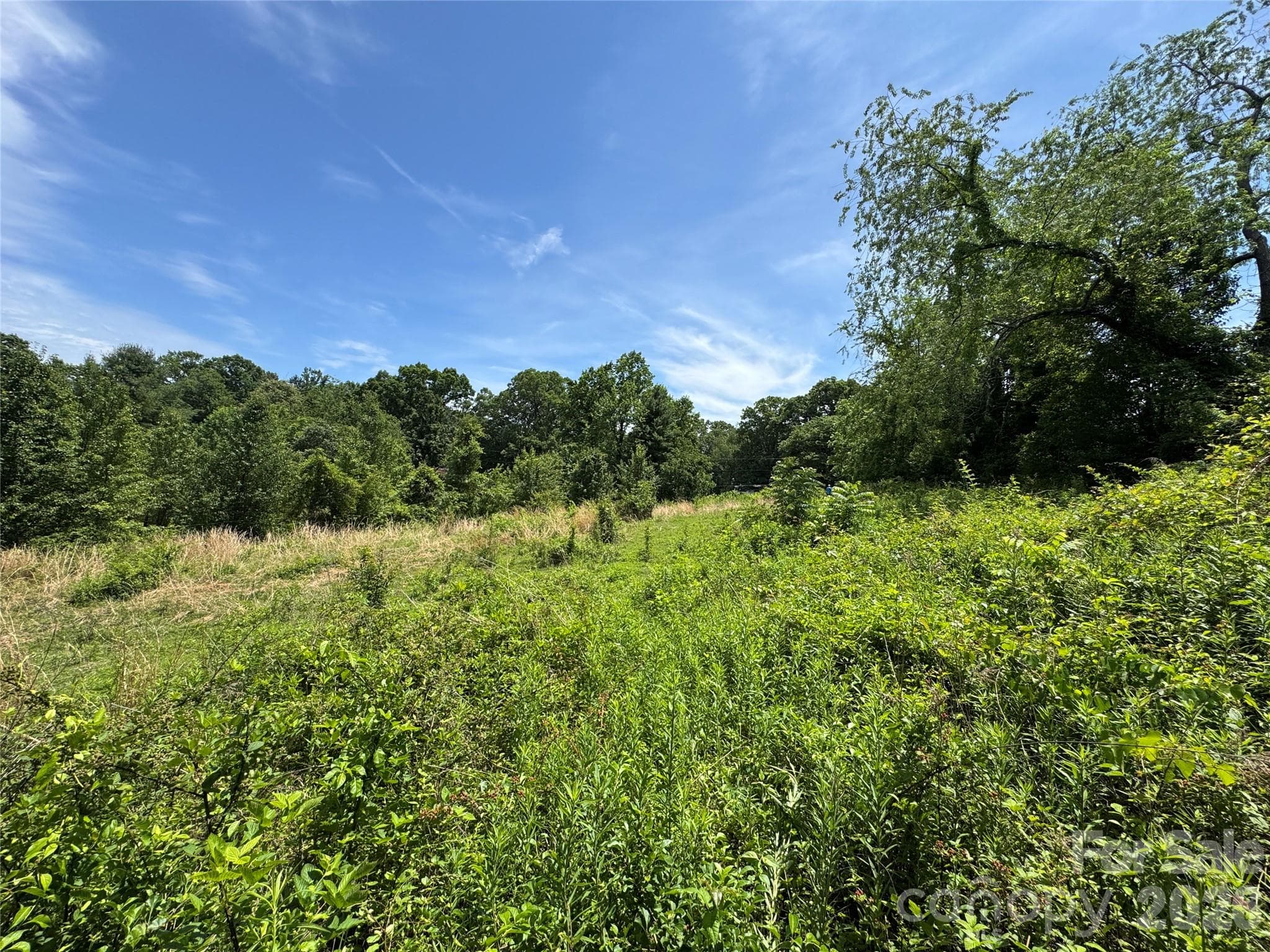 Lot at 99999 Duckett Road, Candler, photo 4 of 34