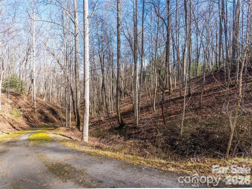 Lot at 19 & 20 Marcus Ridge Drive, Fairview, photo 6 of 15