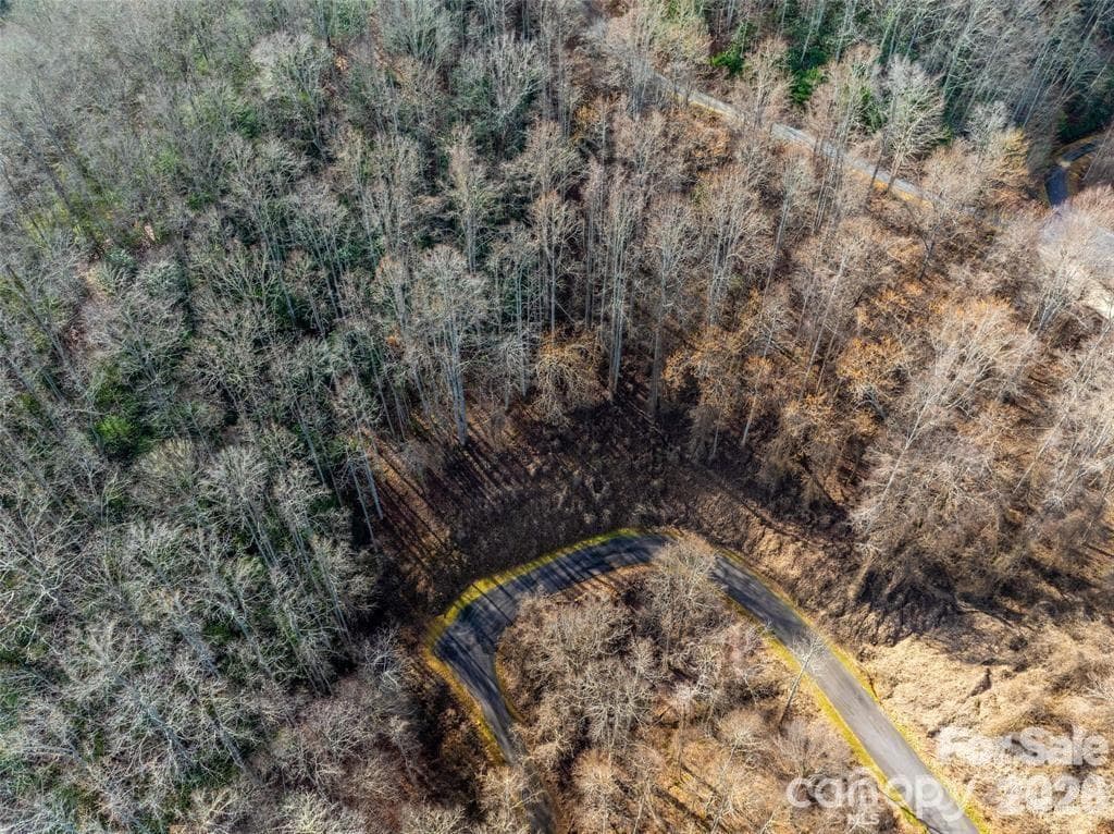 Lot at 19 & 20 Marcus Ridge Drive, Fairview, photo 8 of 15