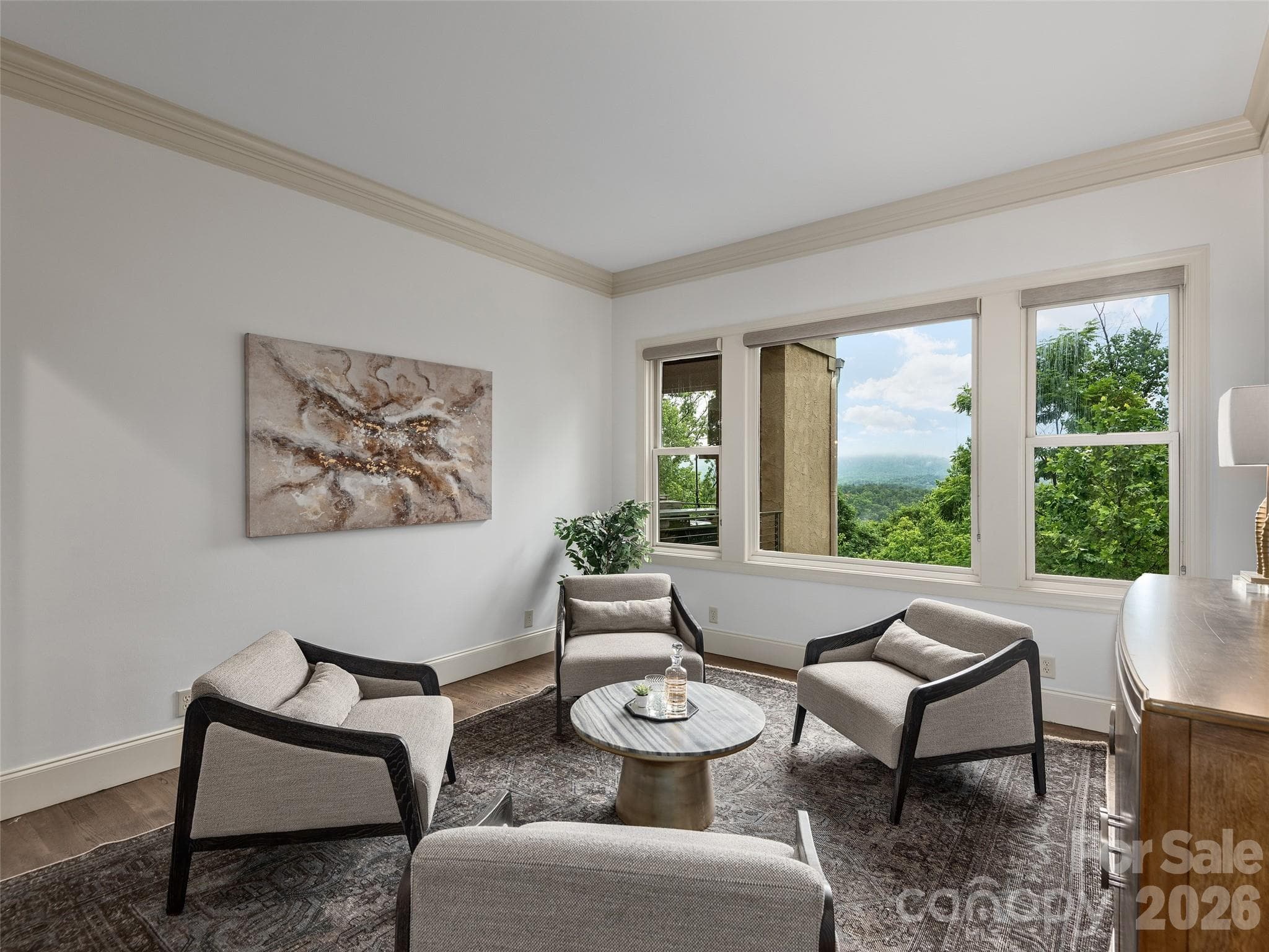Single Family Residence at Asheville, photo 4 of 48