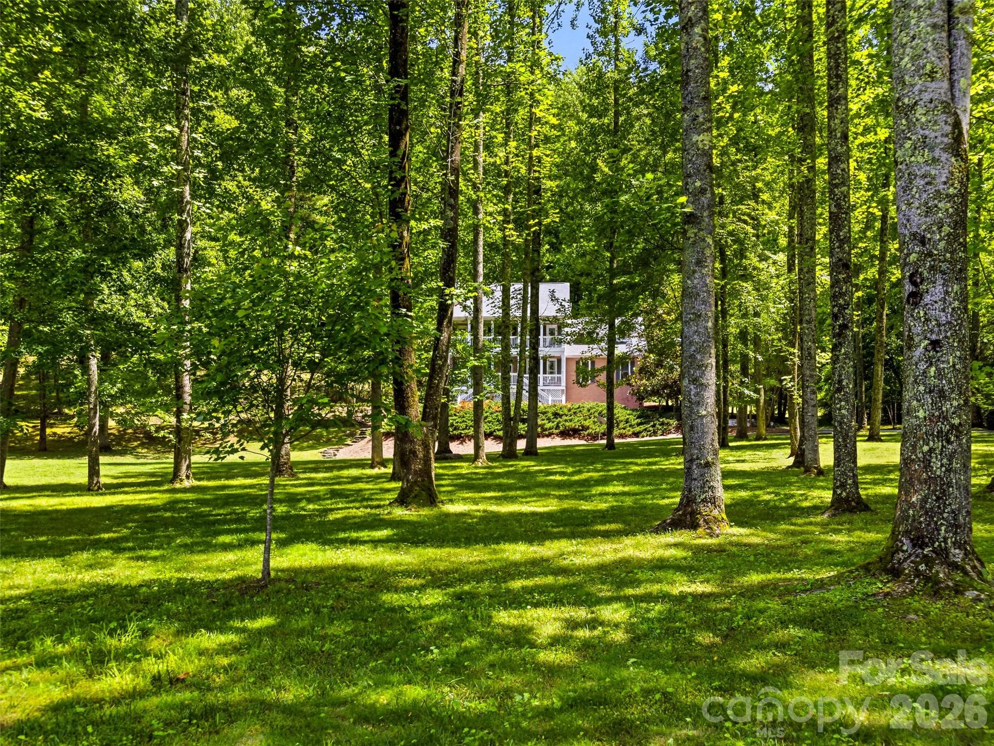 beautiful wooded setting - 243 Poplar Lane, Pisgah Forest