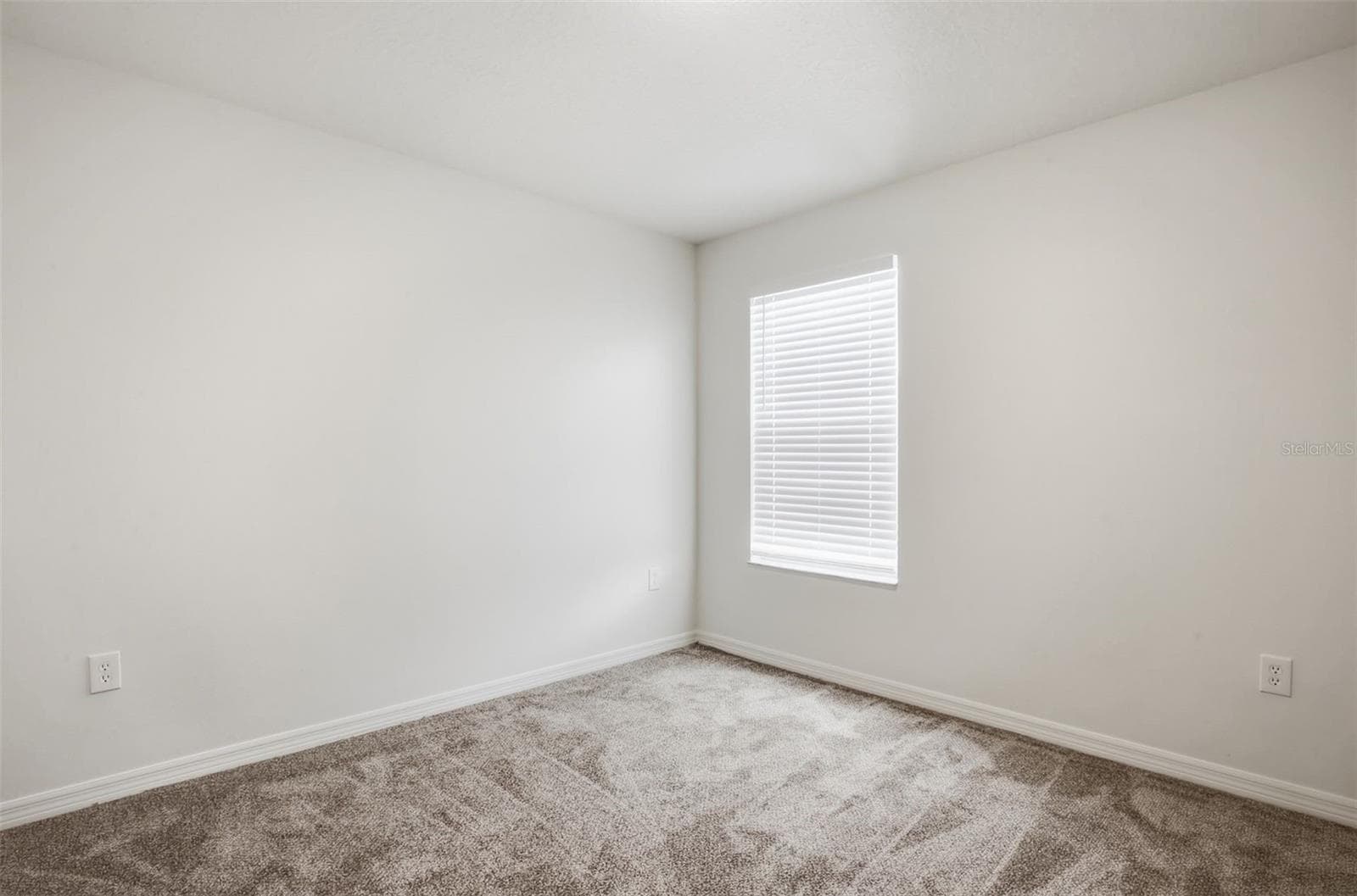 Single Family Residence at 20506 CAROLINA CHERRY CT, TAMPA, photo 28 of 45