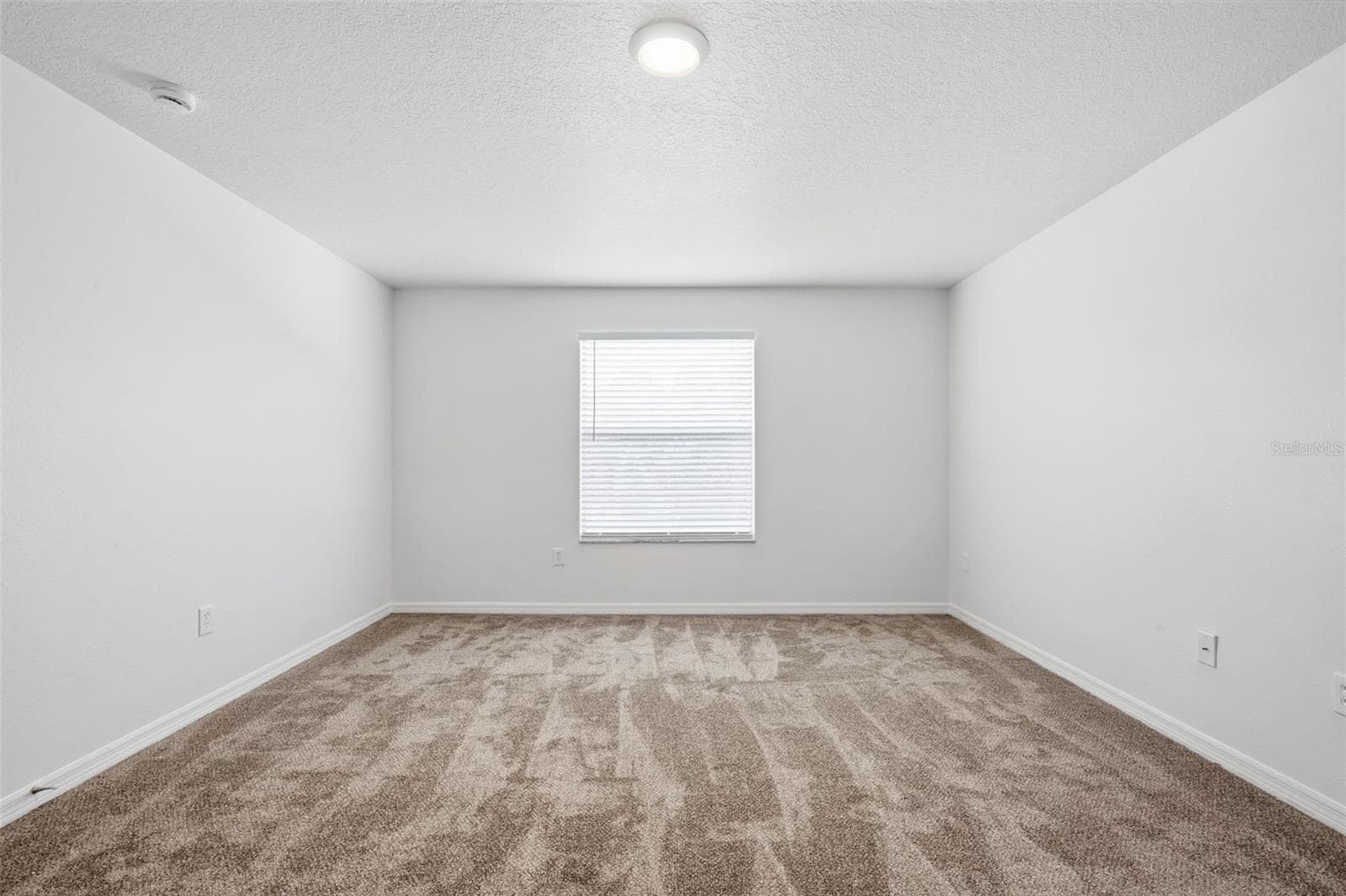Single Family Residence at 20506 CAROLINA CHERRY CT, TAMPA, photo 33 of 45