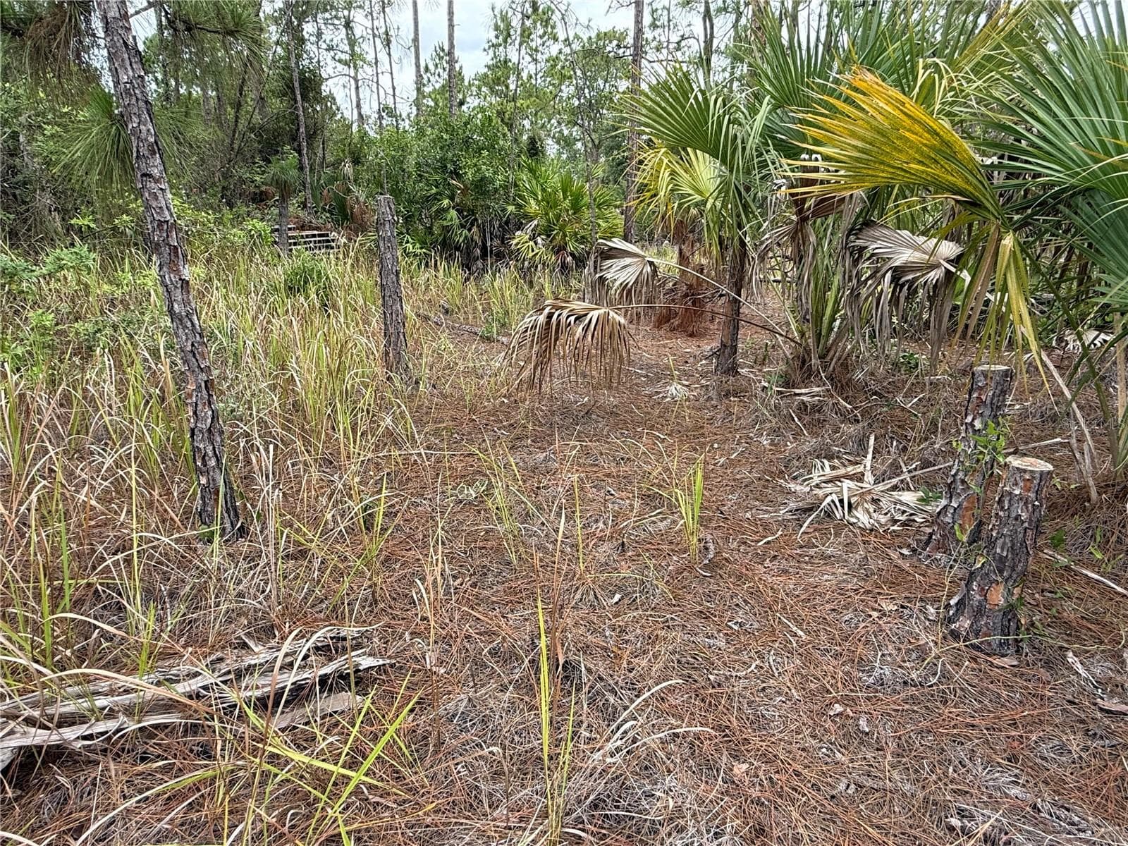 Land at 1106 W 13TH ST, LEHIGH ACRES, photo 5 of 5