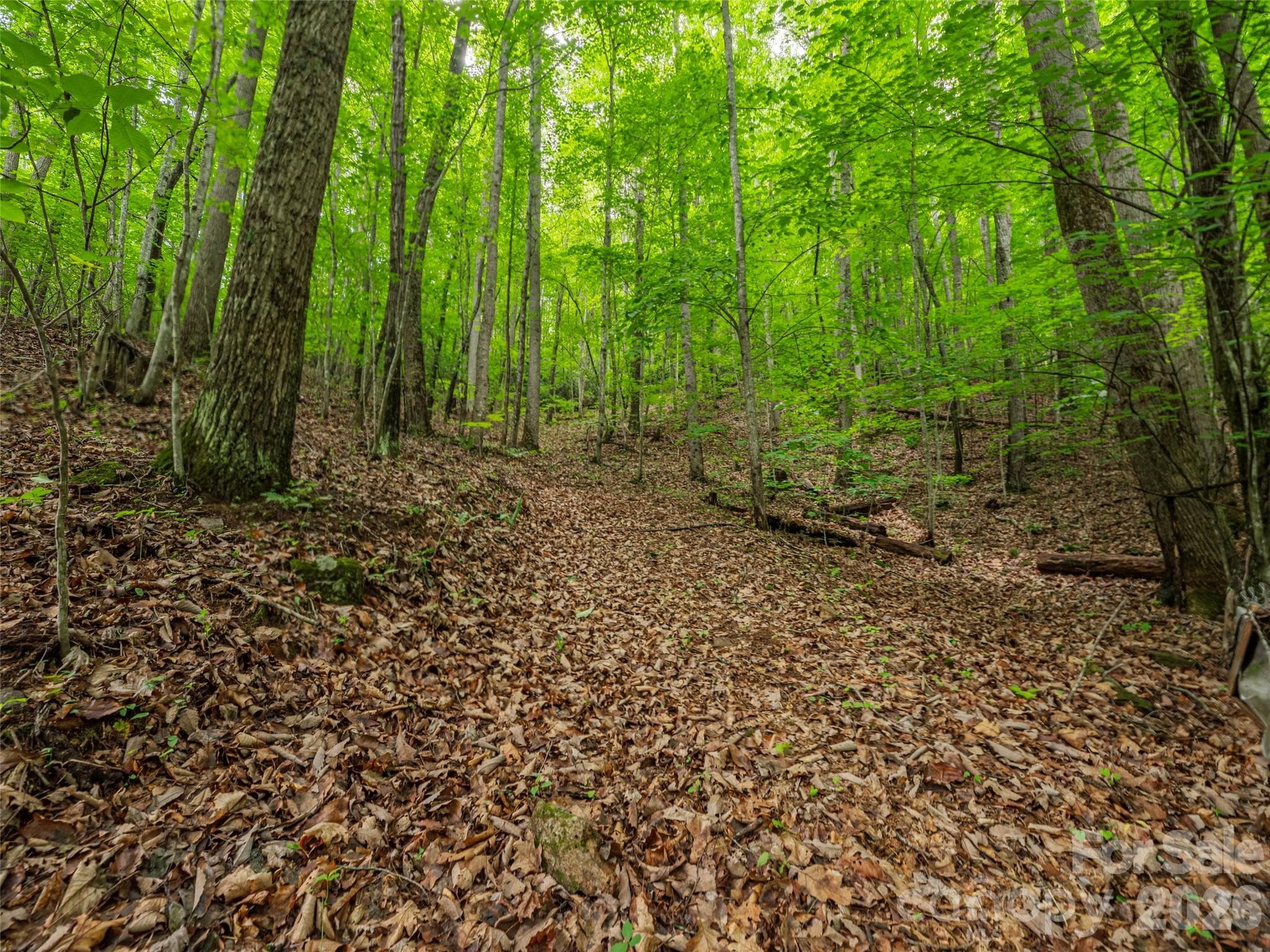 Acreage at 68 Long Ridge Road, Candler, photo 4 of 13