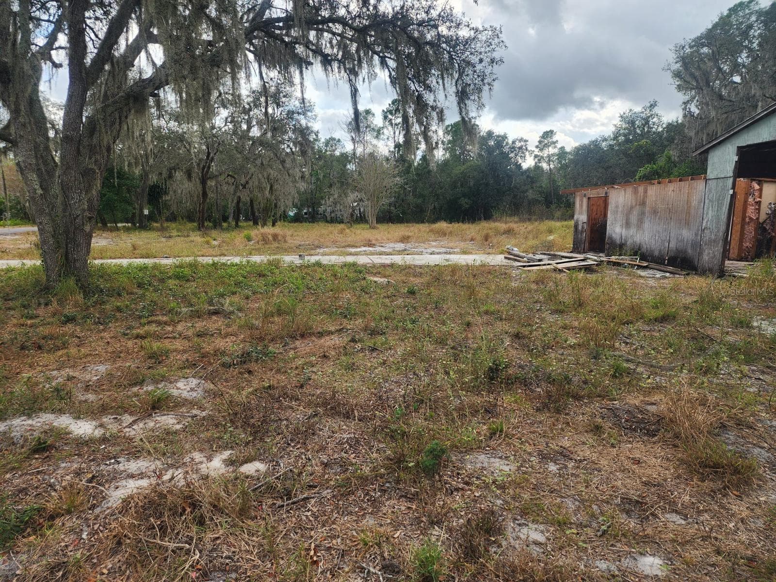 Land at 1409 WILKINSON DR, PLANT CITY, photo 5 of 11