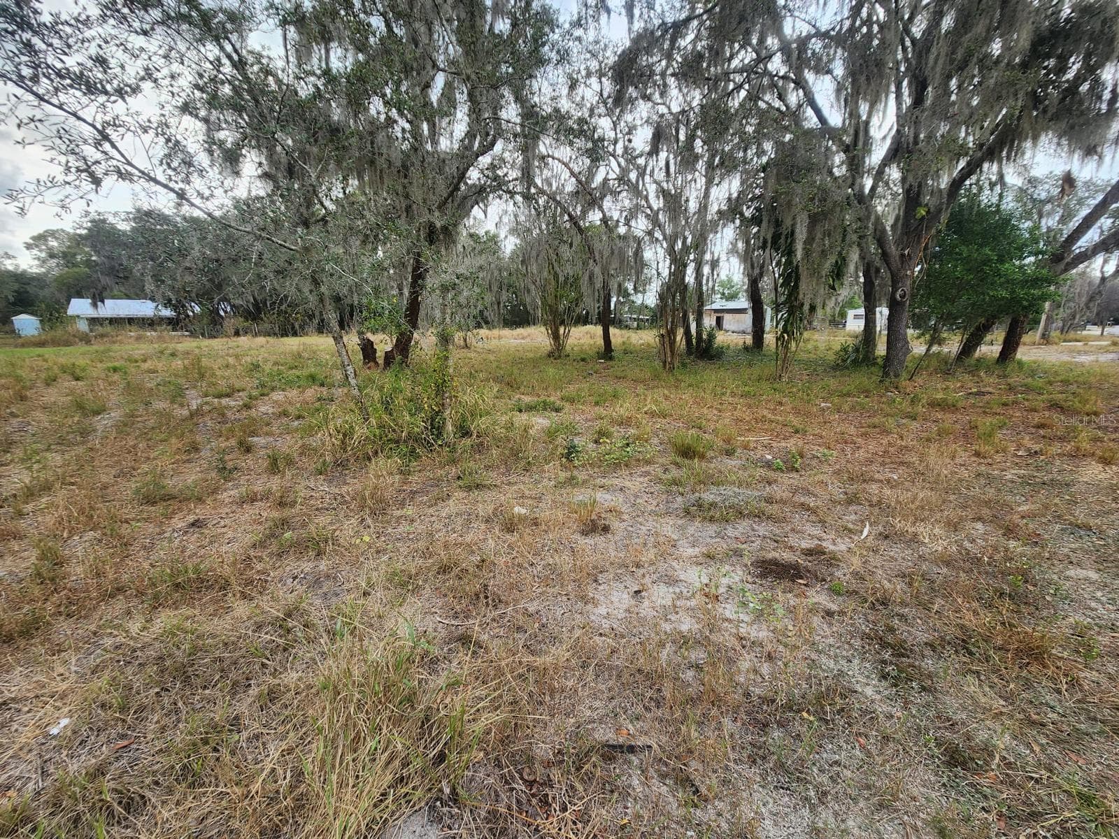 Land at 1409 WILKINSON DR, PLANT CITY, photo 6 of 11