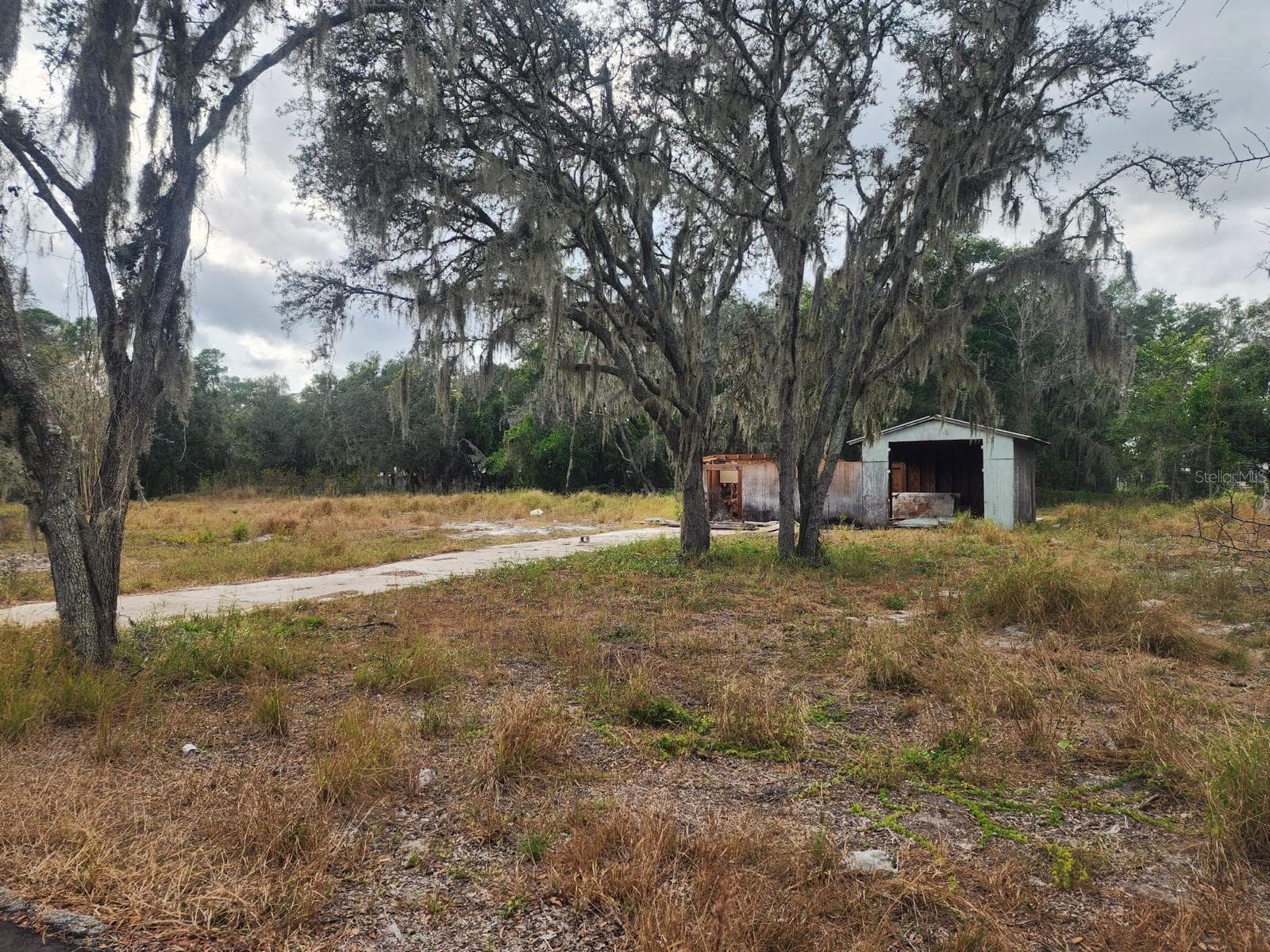Land at 1409 WILKINSON DR, PLANT CITY, photo 11 of 11