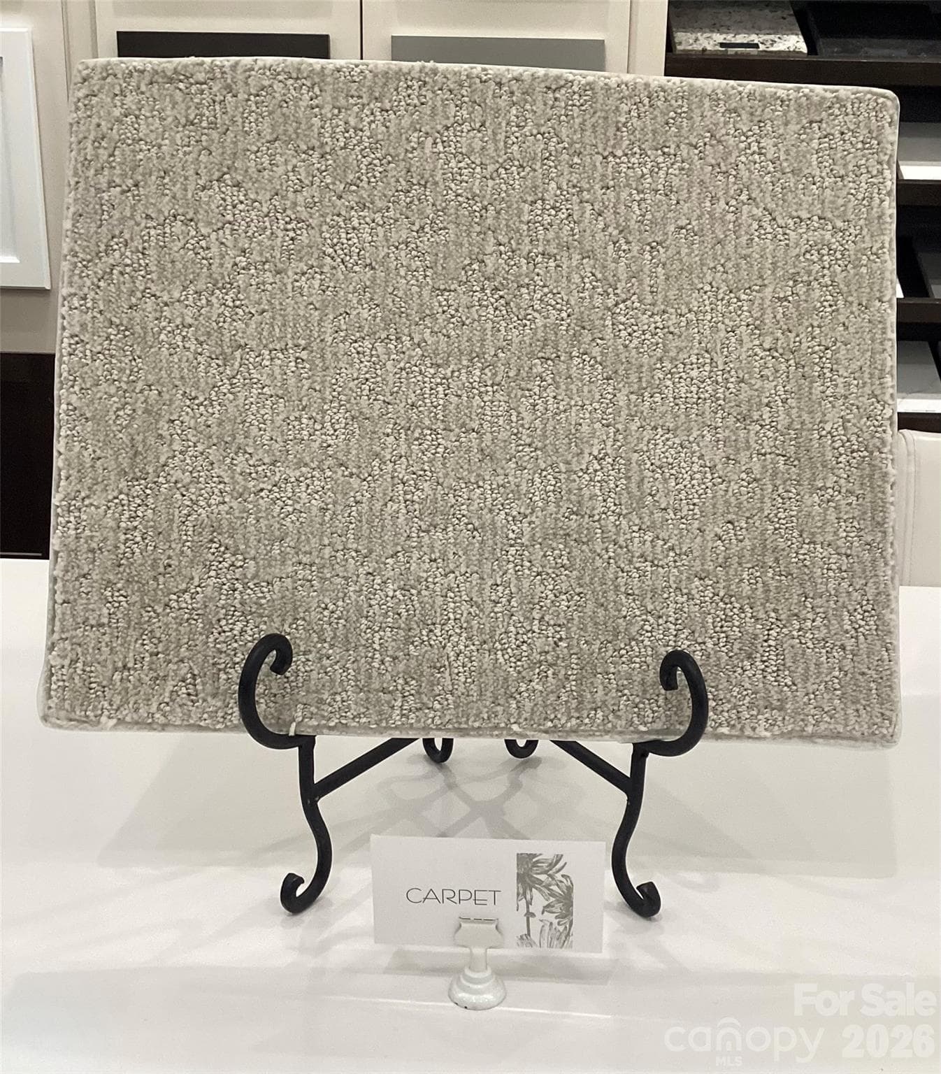 Carpet Design Selections - 117 Marina Bay Trail, Locust
