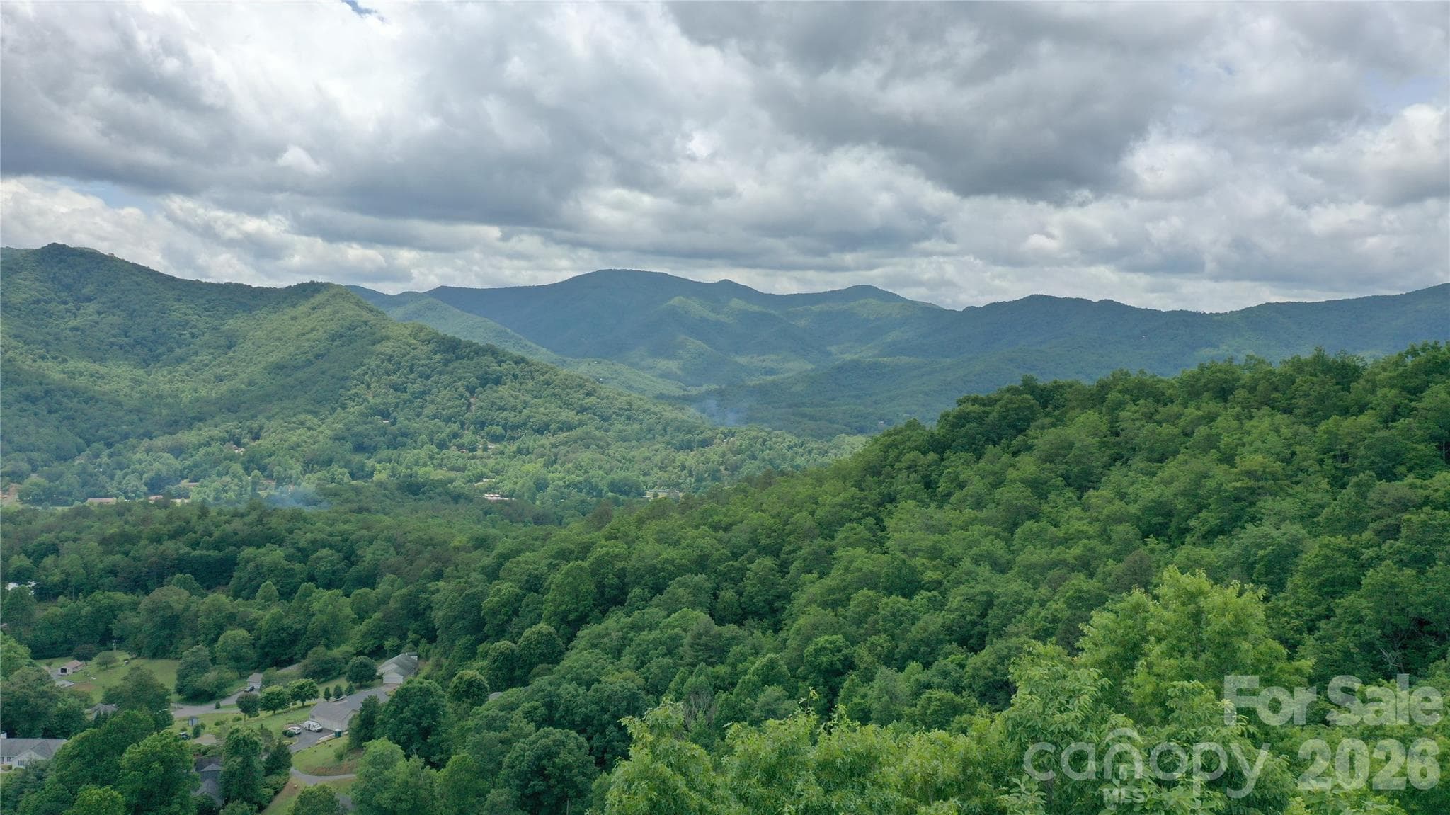 Tree top drone shot - Sylva