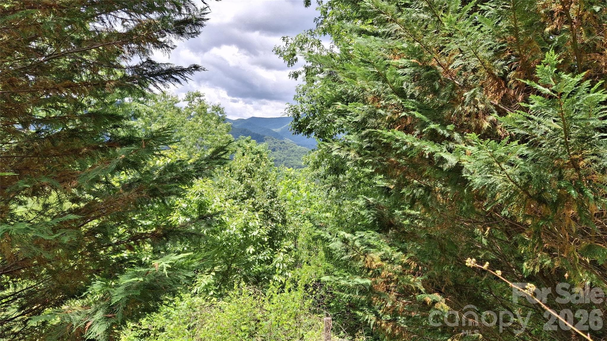 Lot at Sylva, photo 5 of 17