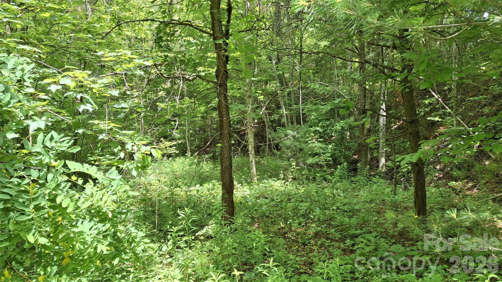 House pad - Sylva